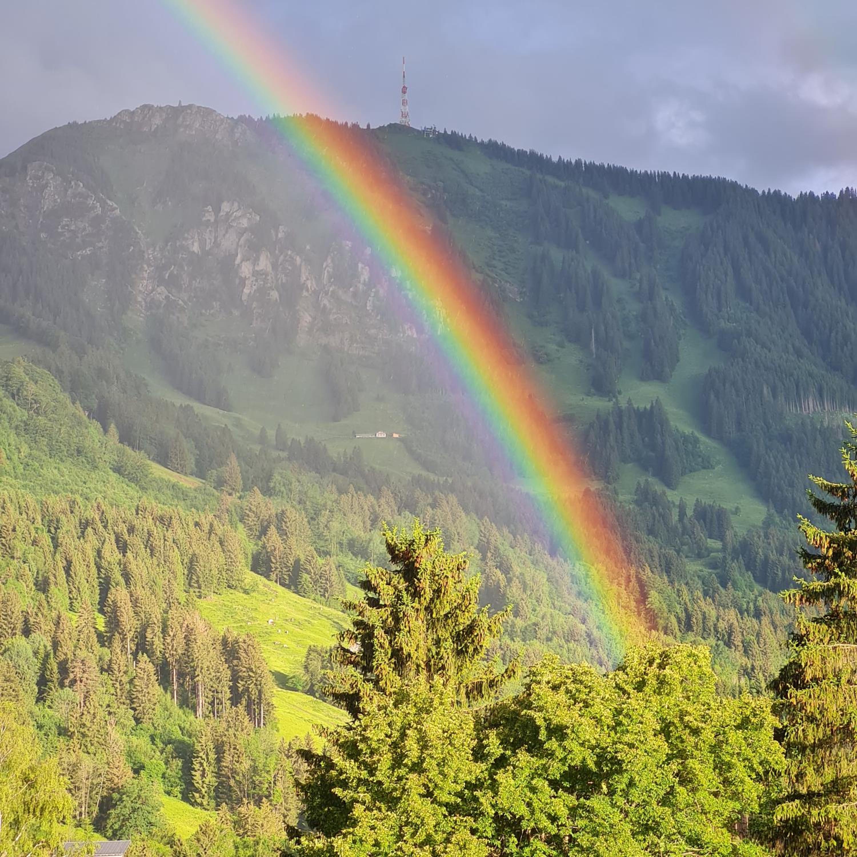 Gruentenausblick