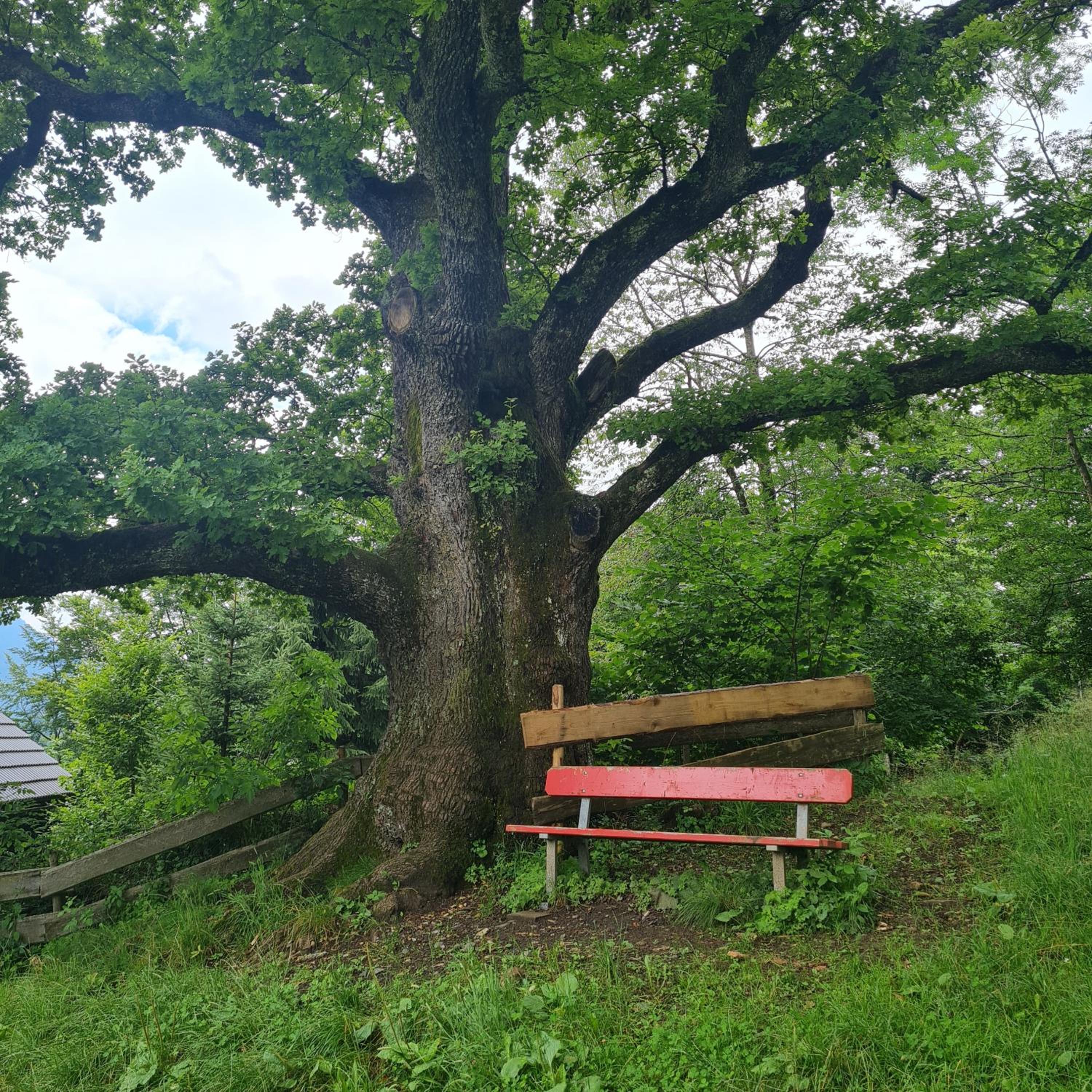 Gruentenausblick