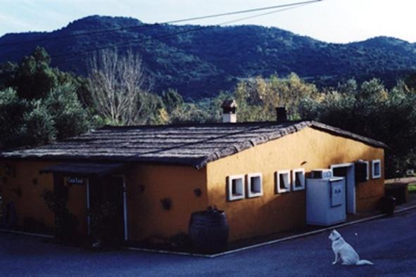 Photo 50