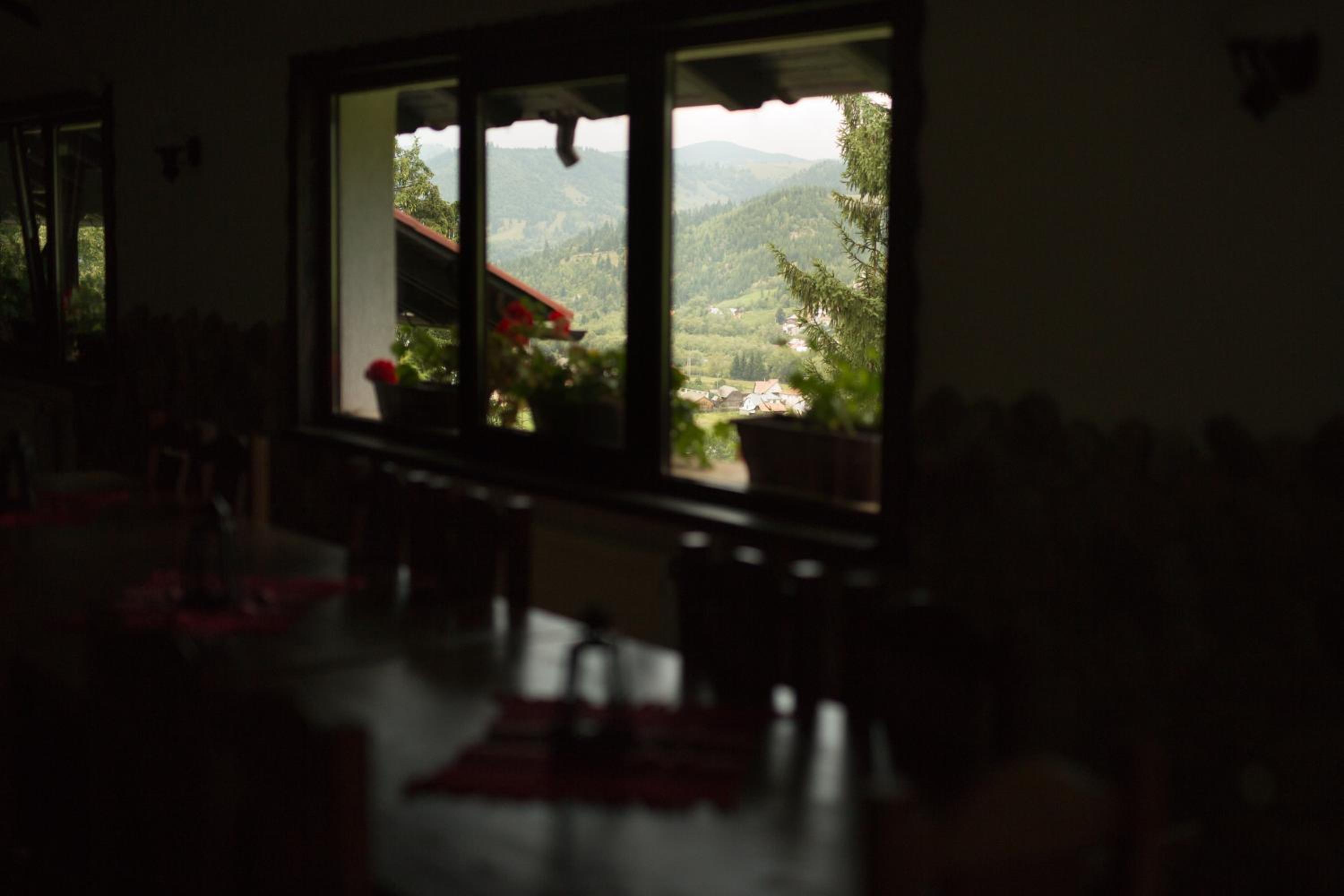 Pension Cabana Ionela