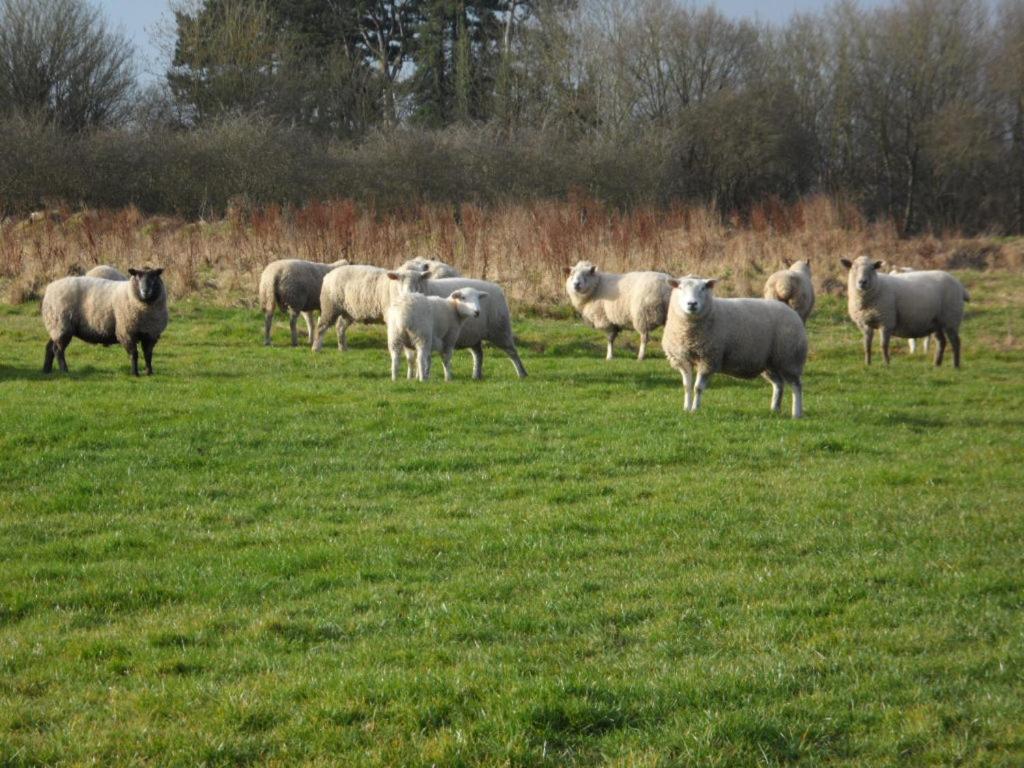 The Stables - Deer Park Farm