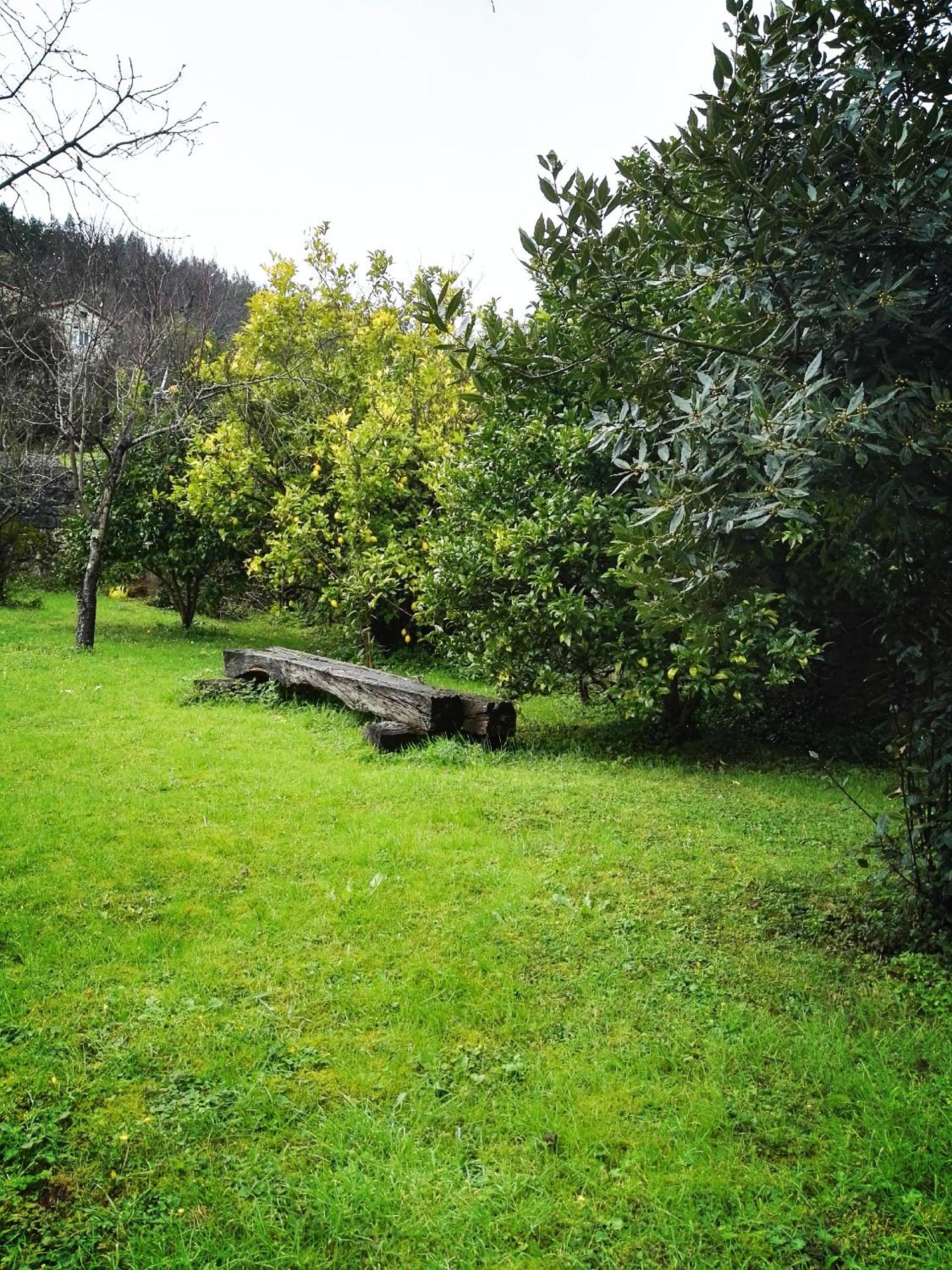 Finca Artienza