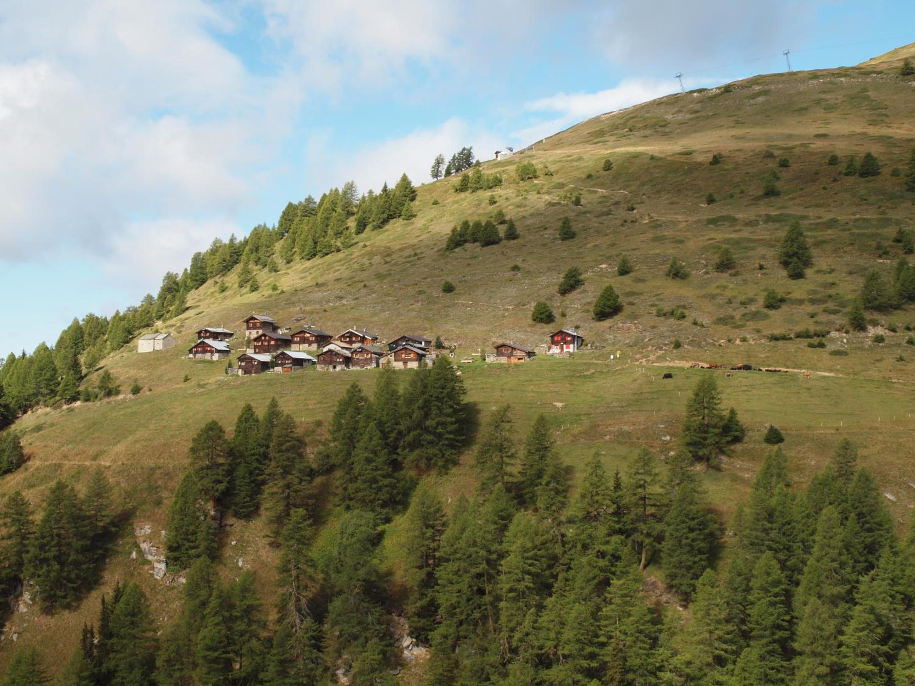 Chalet Panorama view 2