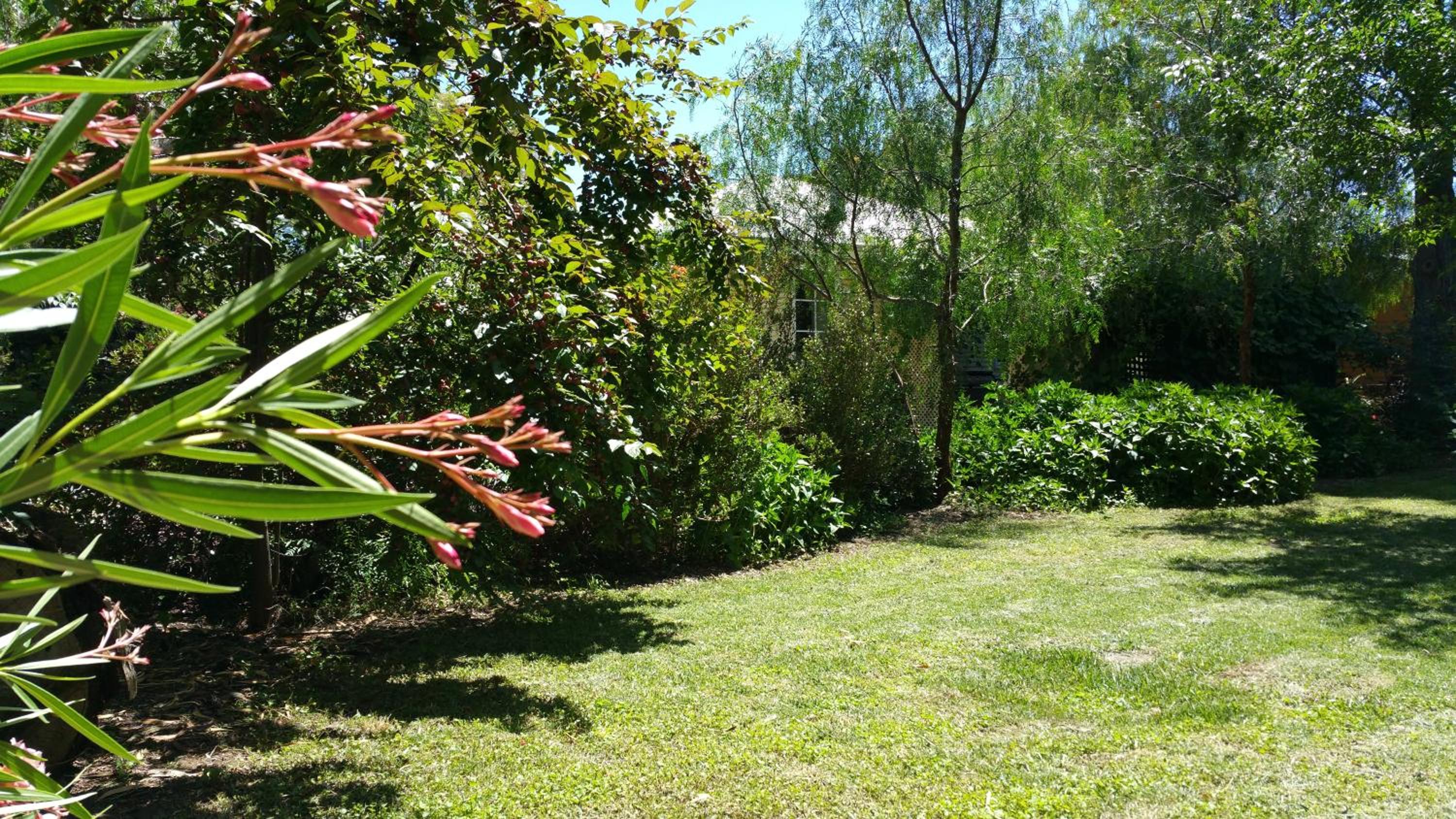 Amy's House Bed & Breakfast