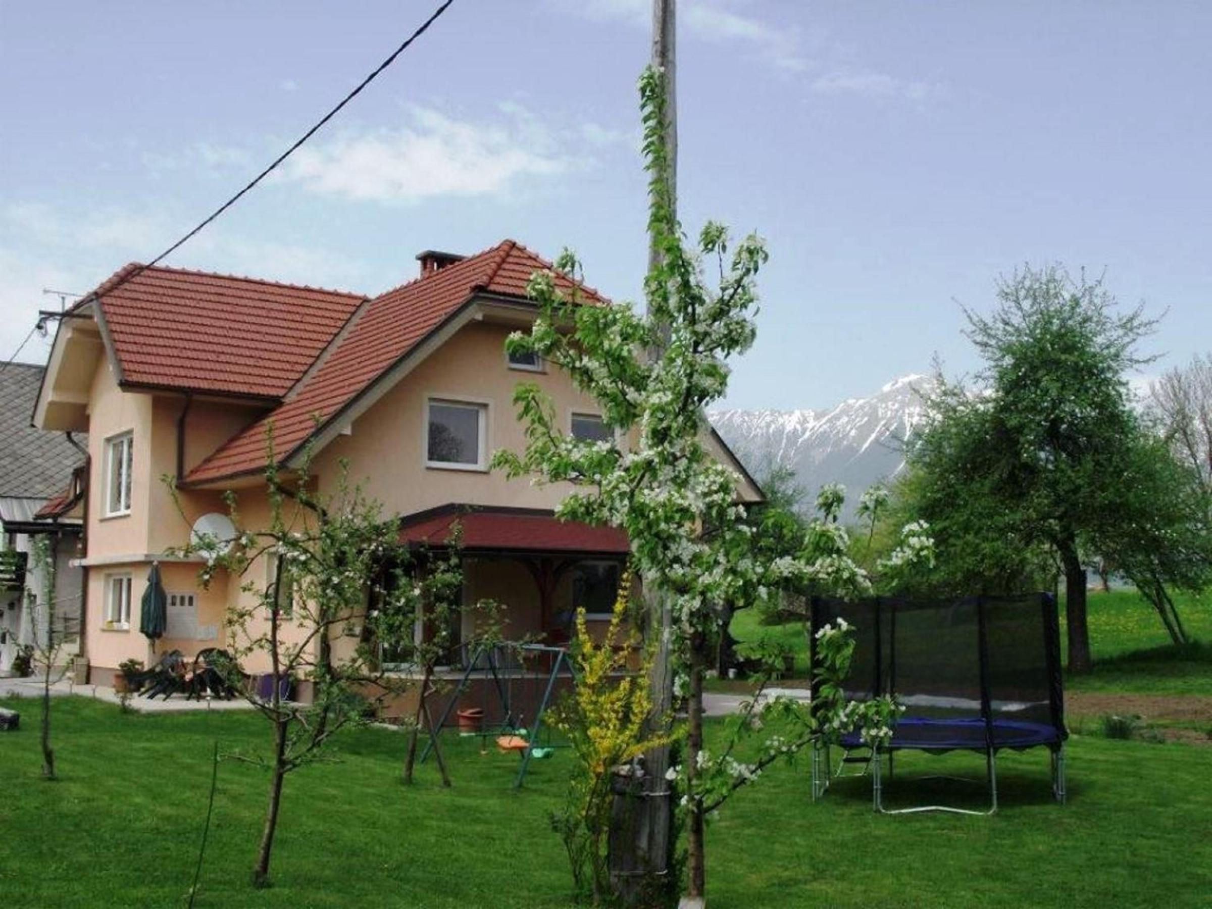 Photo 46