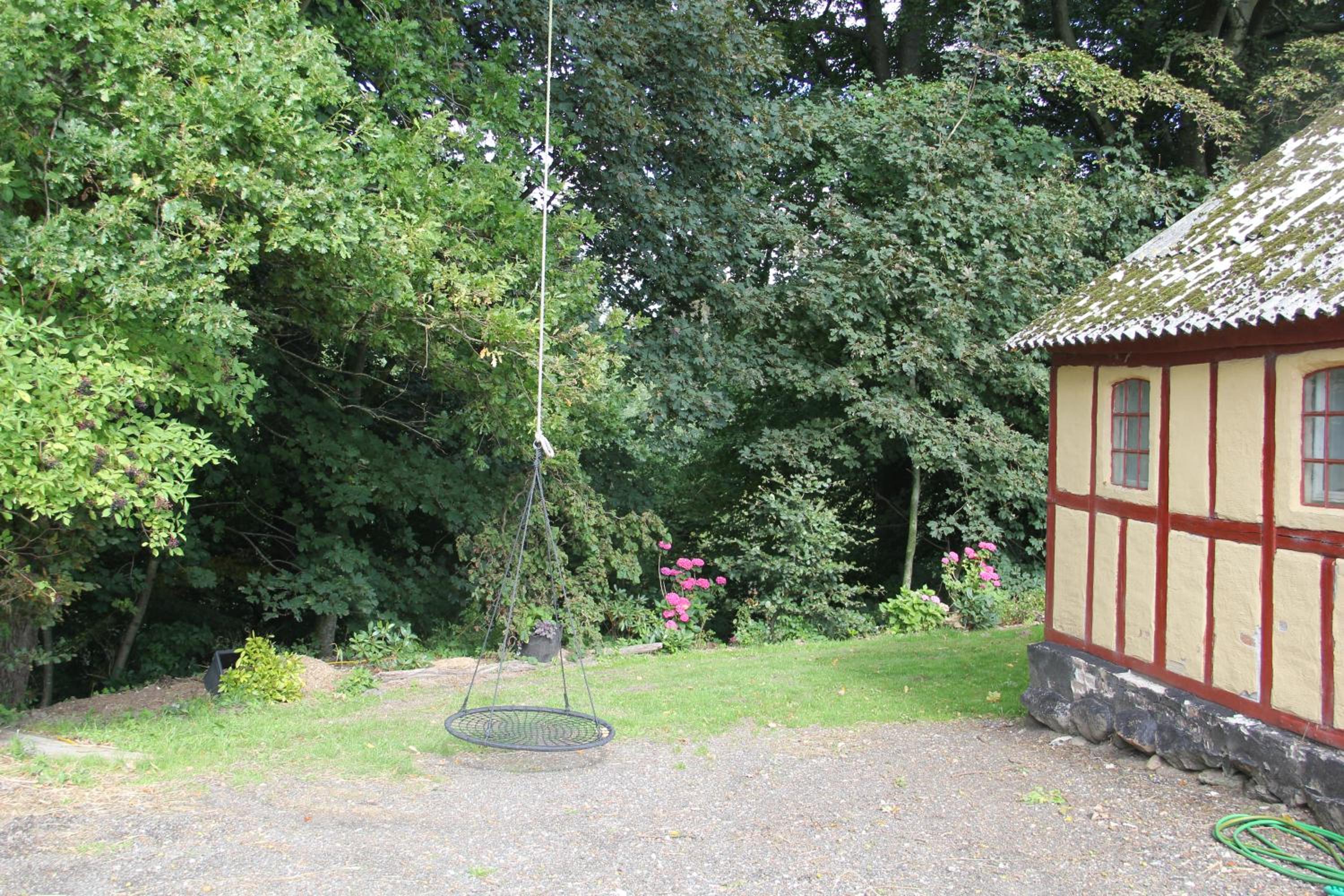 Photo 23