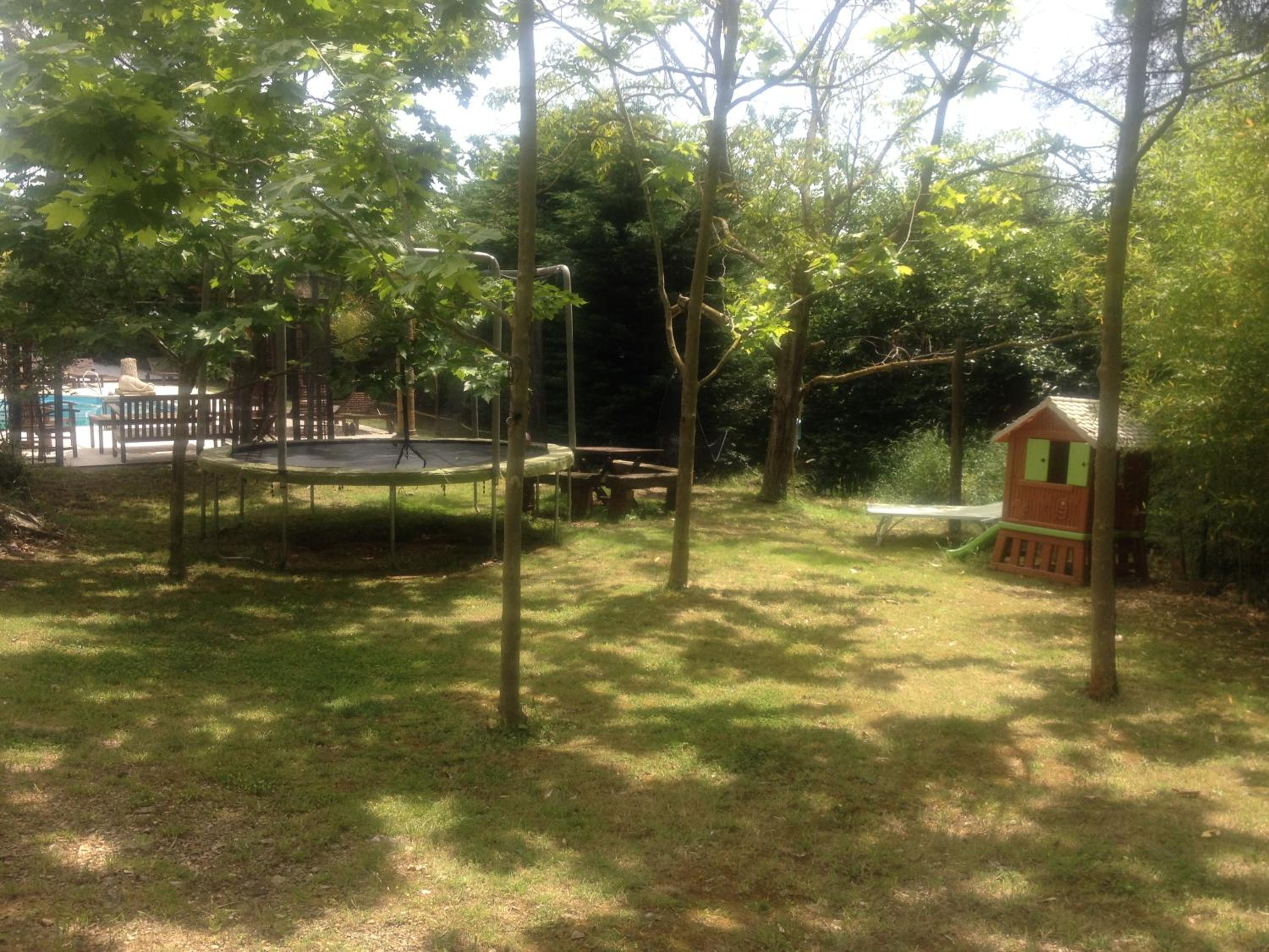 Photo 11