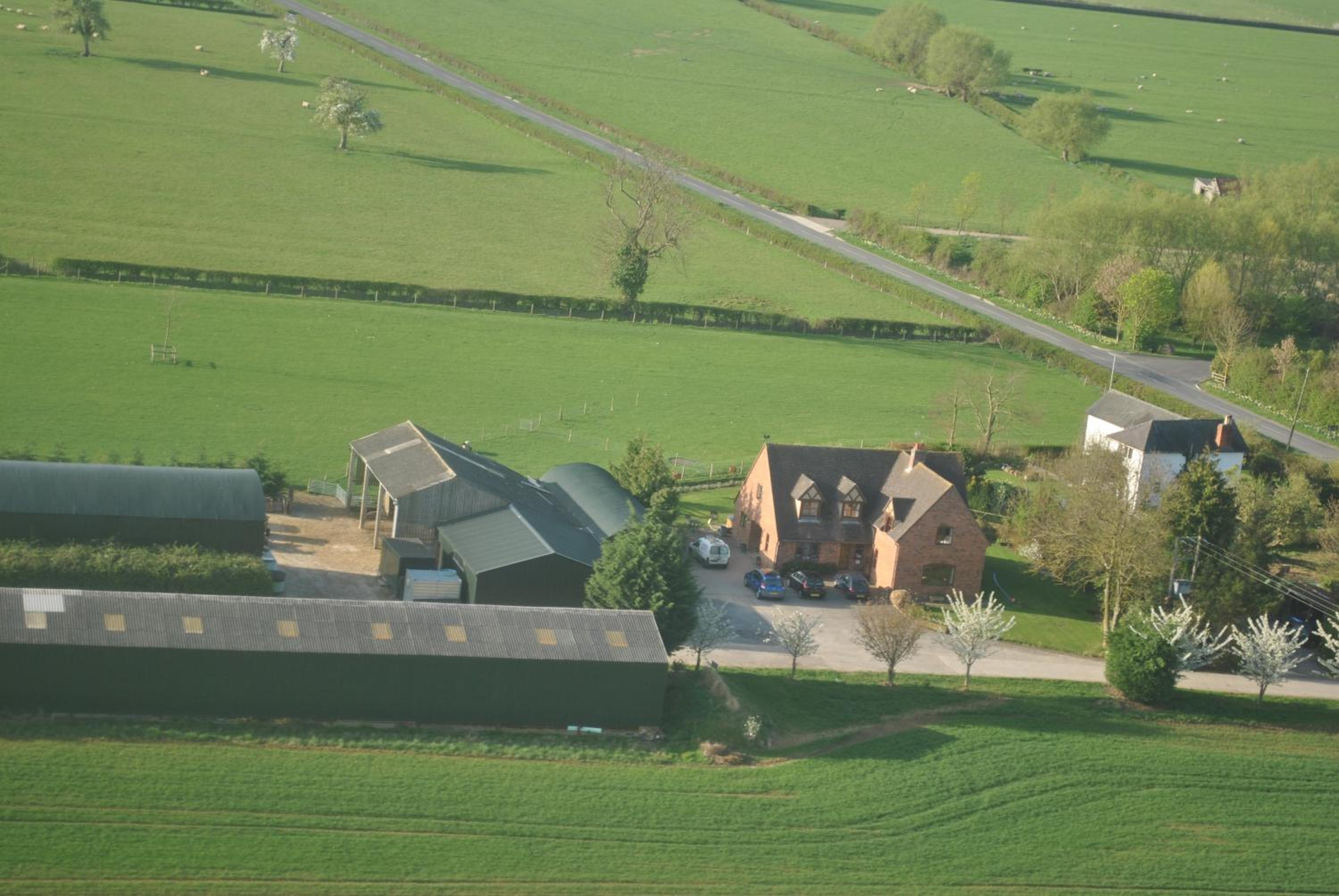 Photo 17