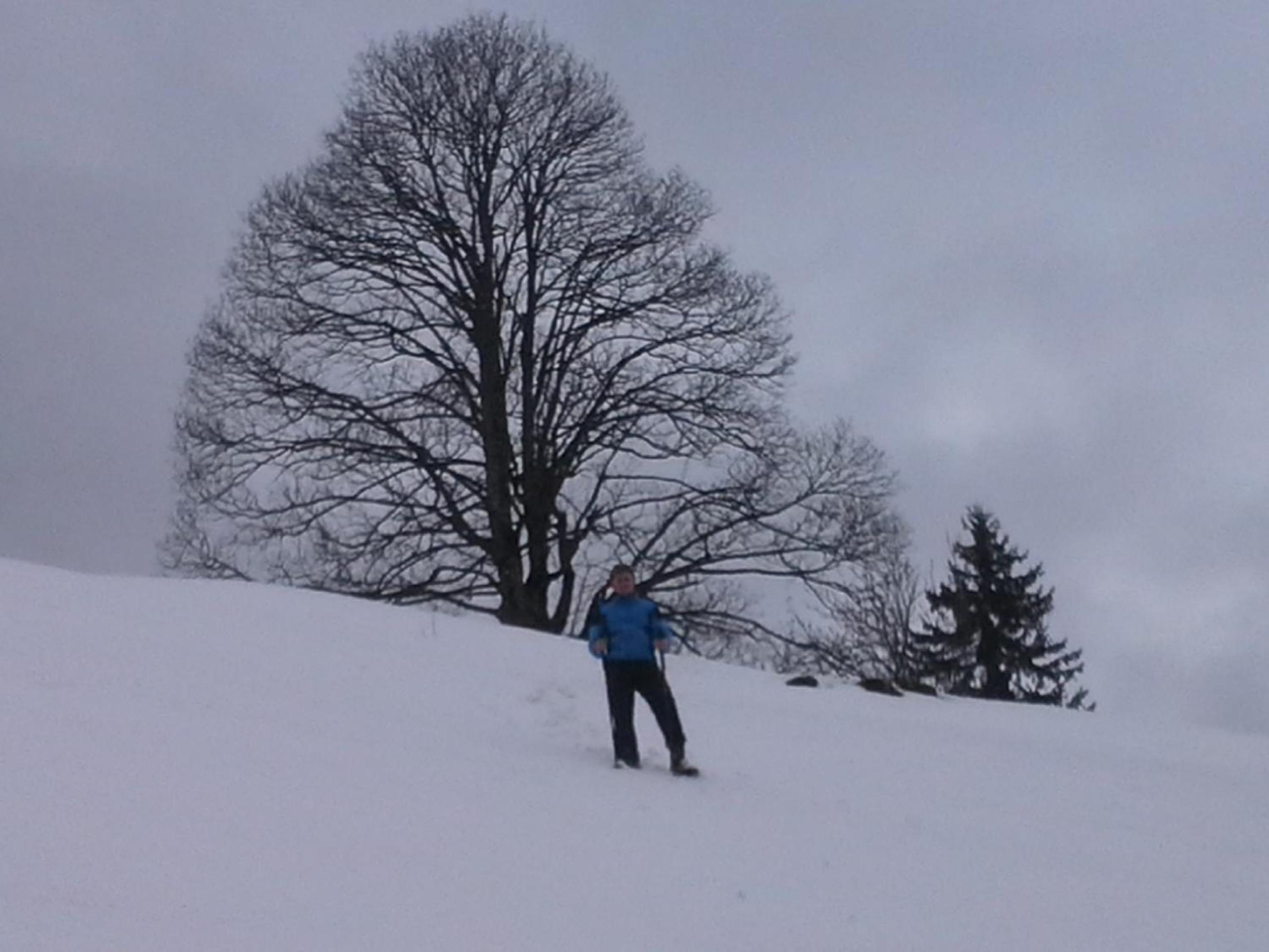 Apart Tiefenbach