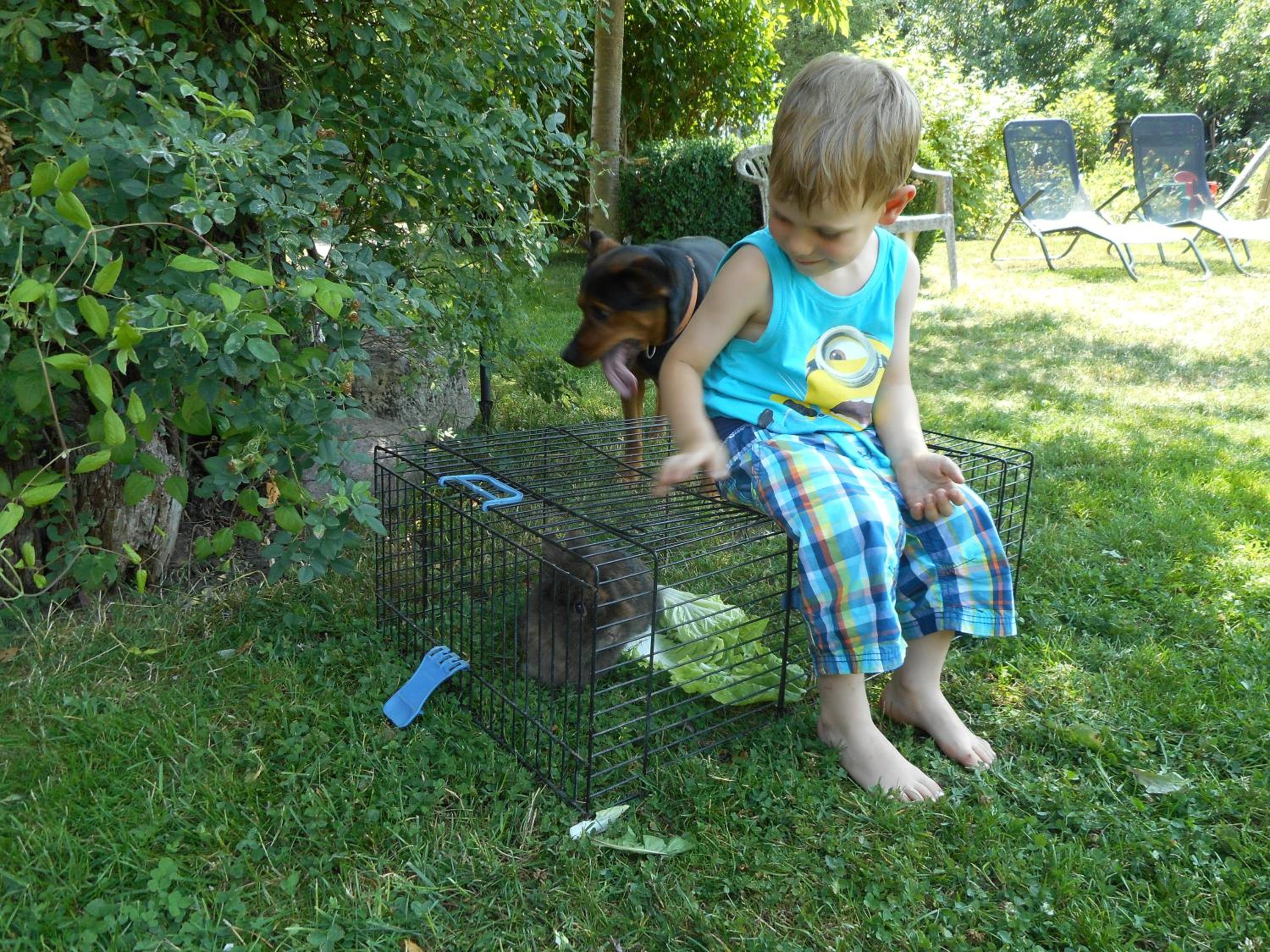 Photo 20