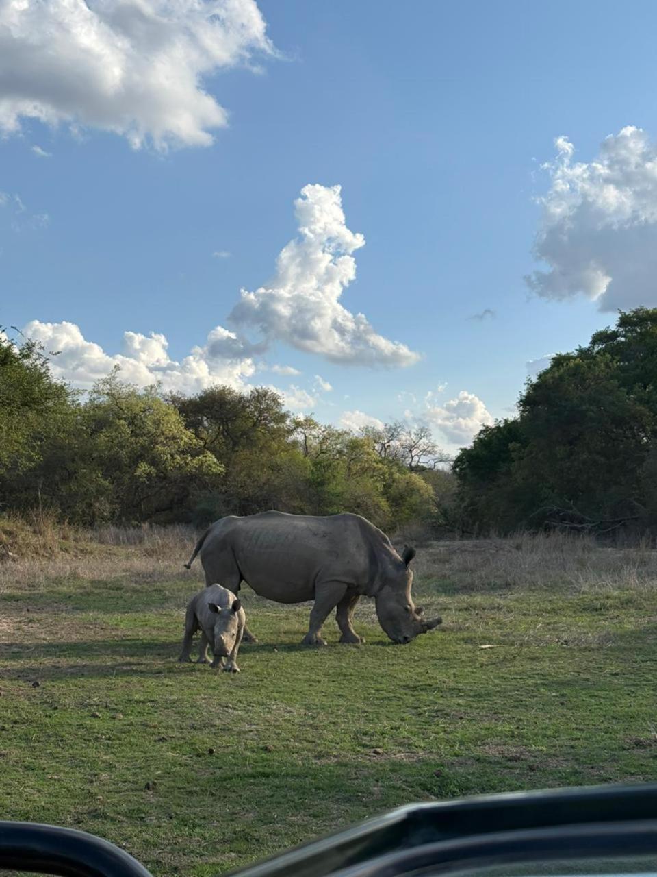 AM Lodge - Hoedspruit