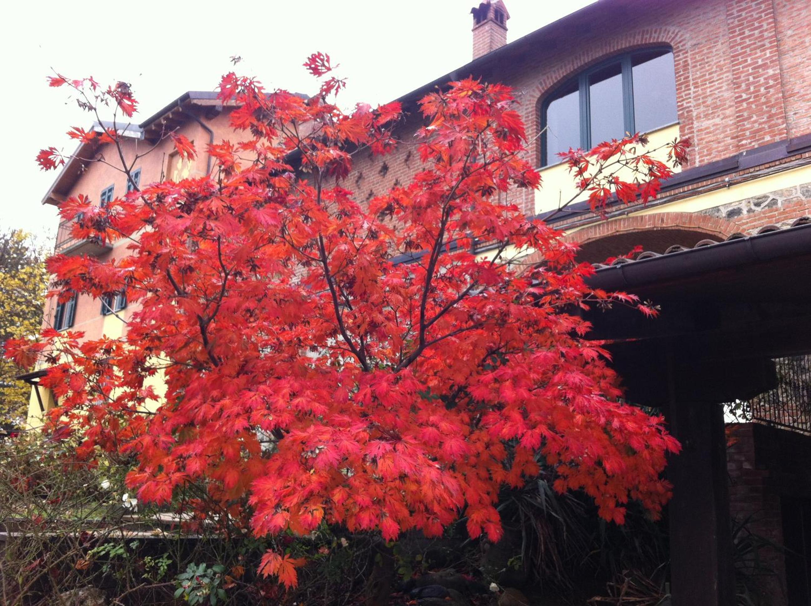 Photo 50
