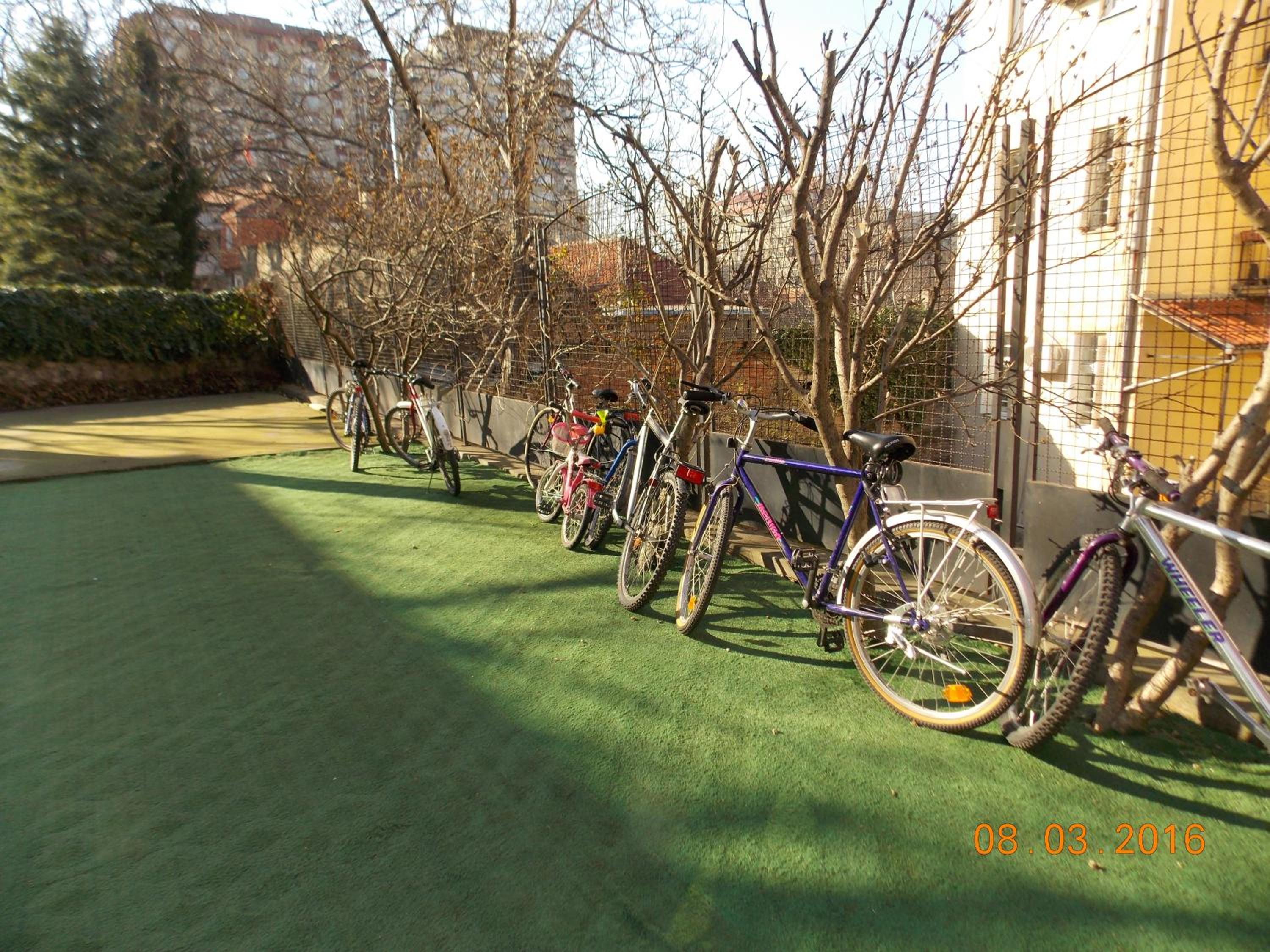 Photo 10