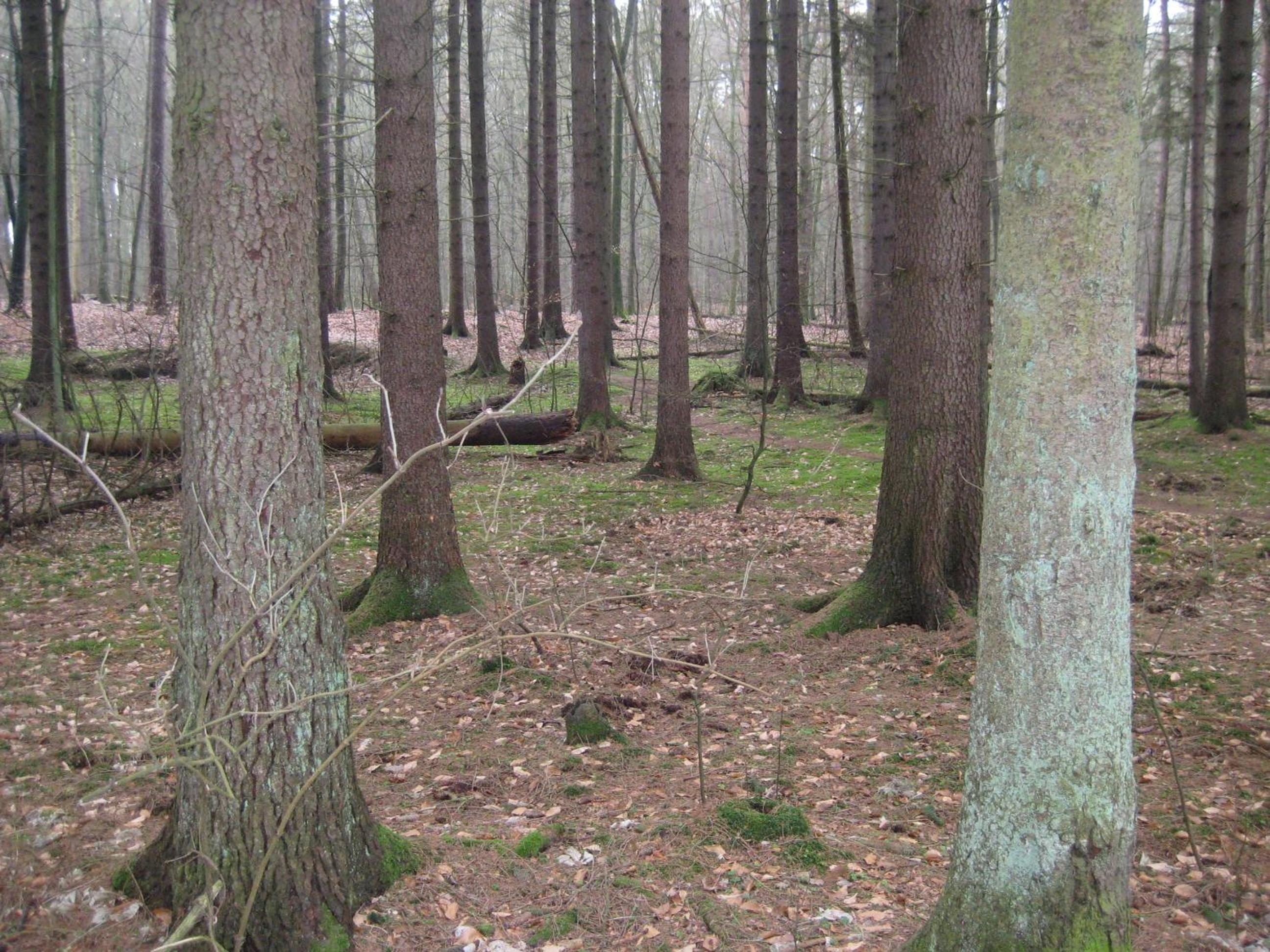Photo 38