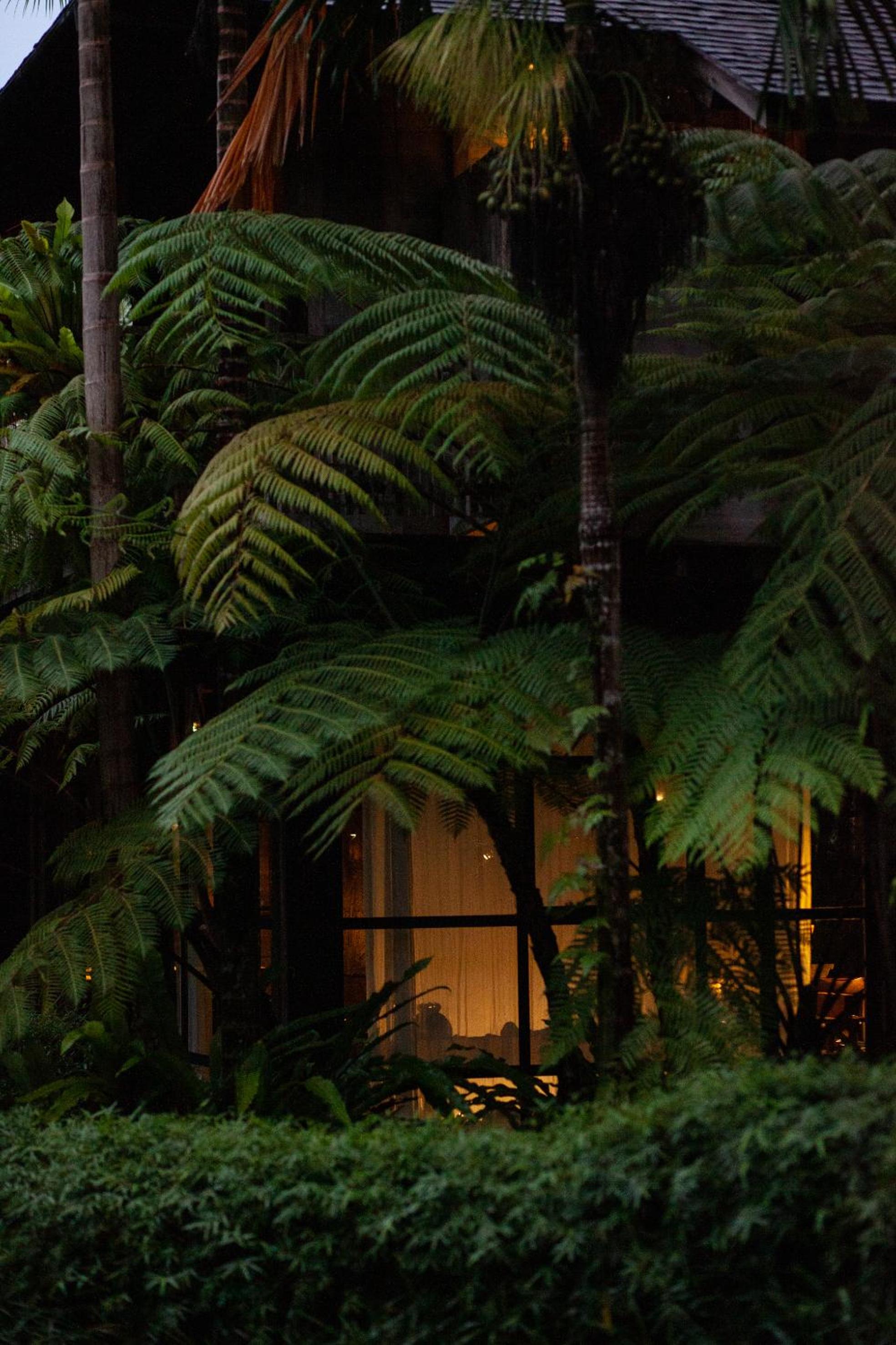 Rumah Hujan