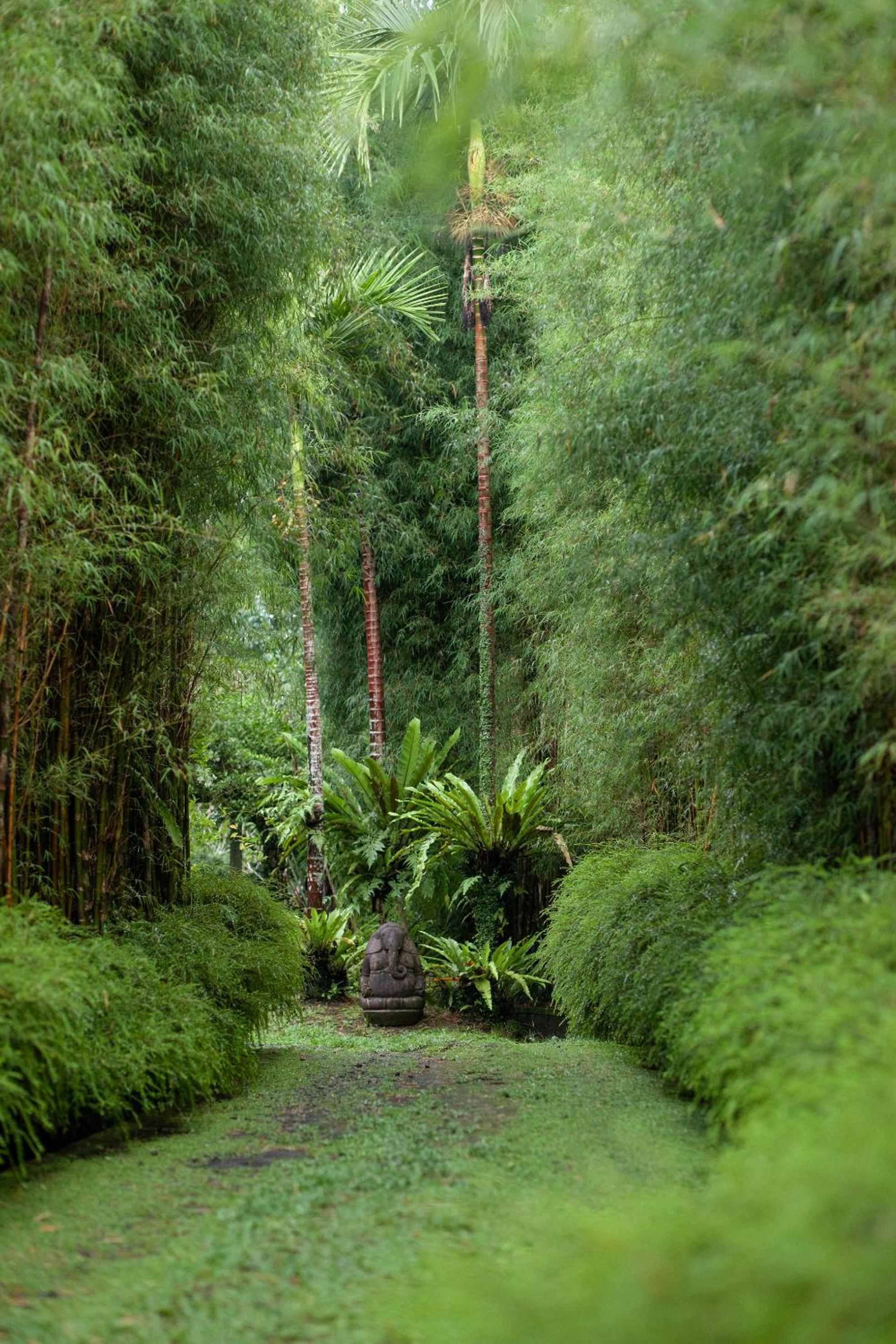 Rumah Hujan
