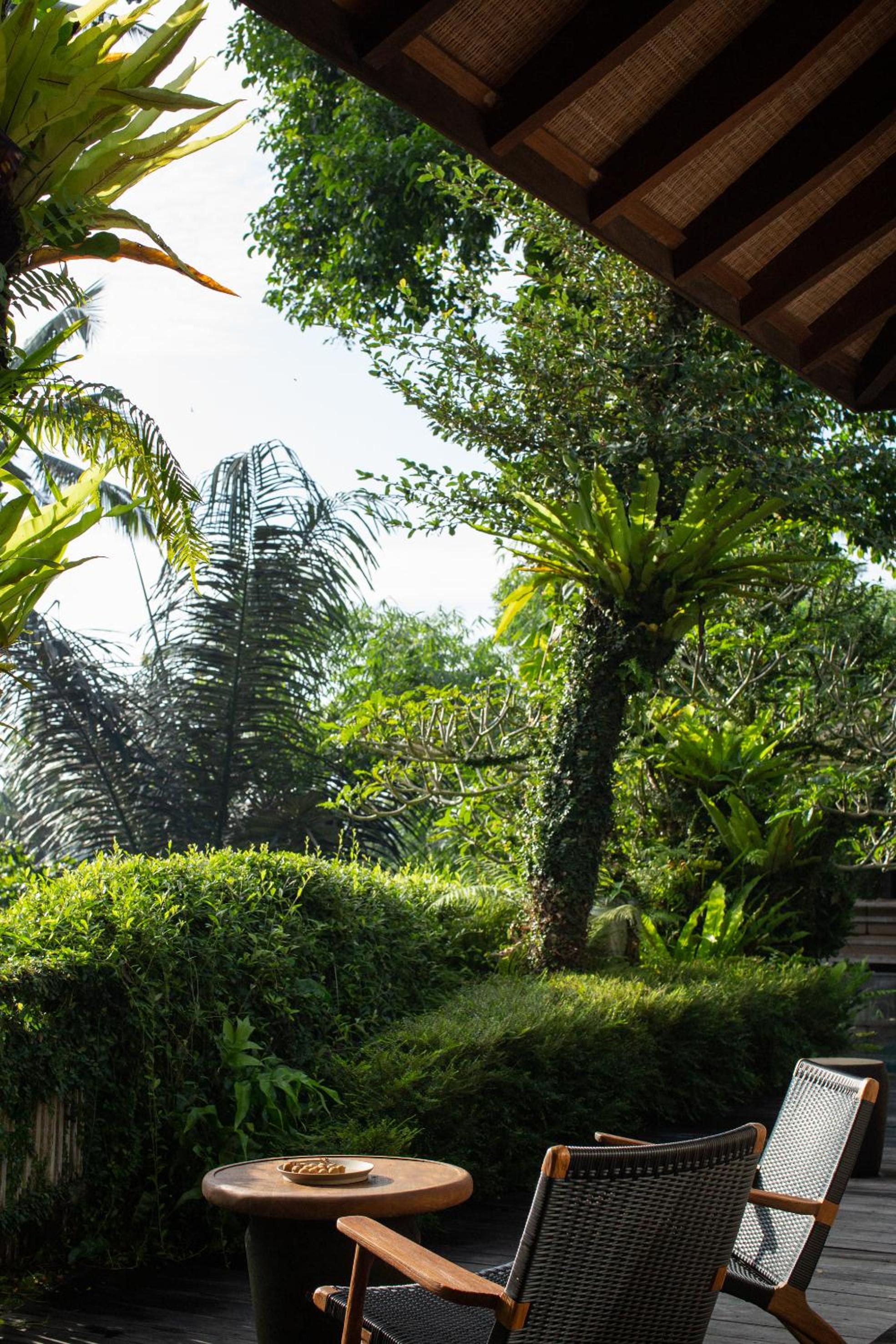 Rumah Hujan