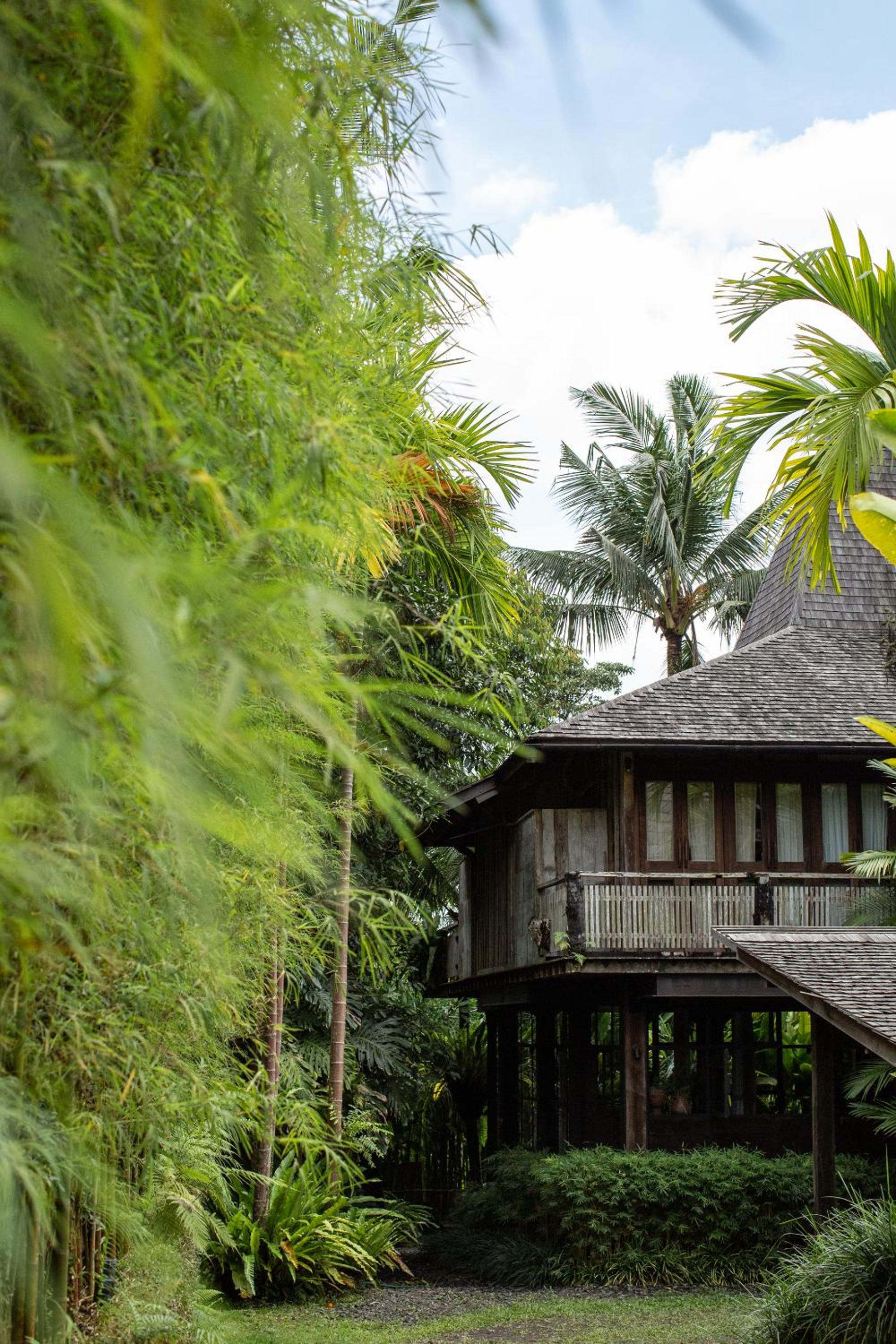 Rumah Hujan