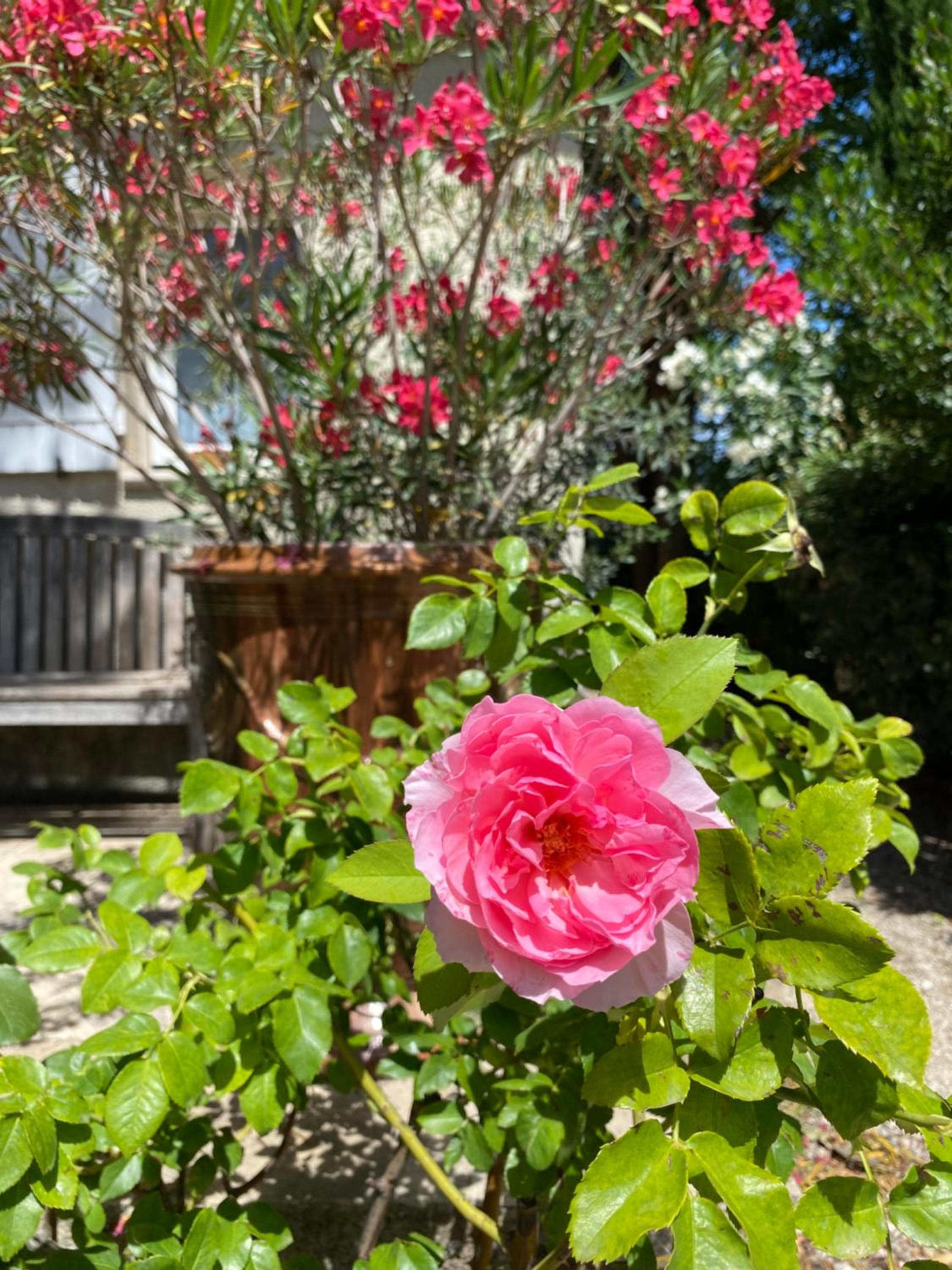 Domaine Lafayette, photo 40