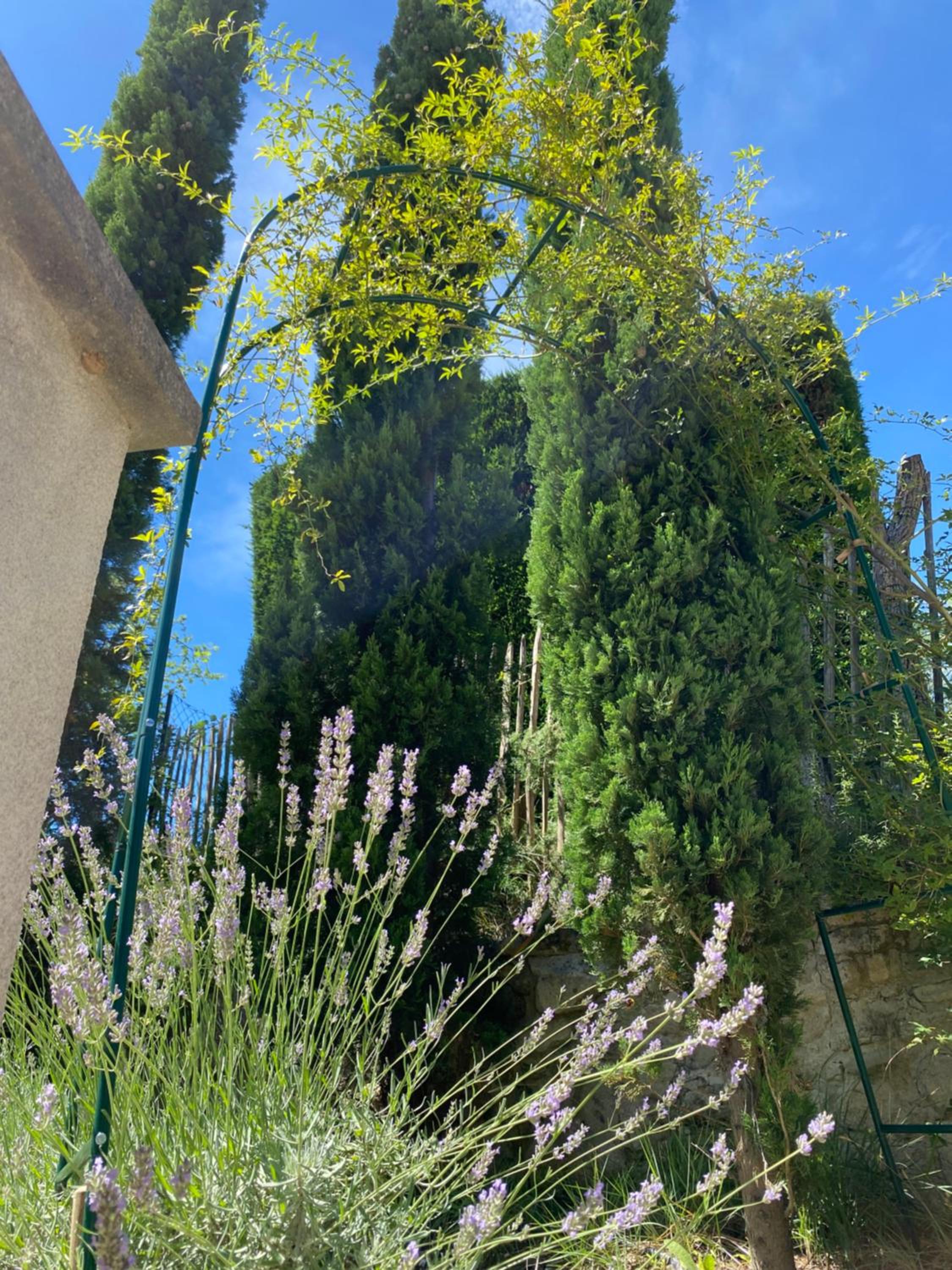 Domaine Lafayette, photo 5