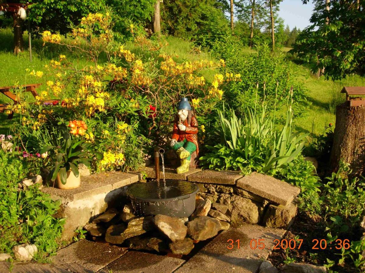 Photo 8