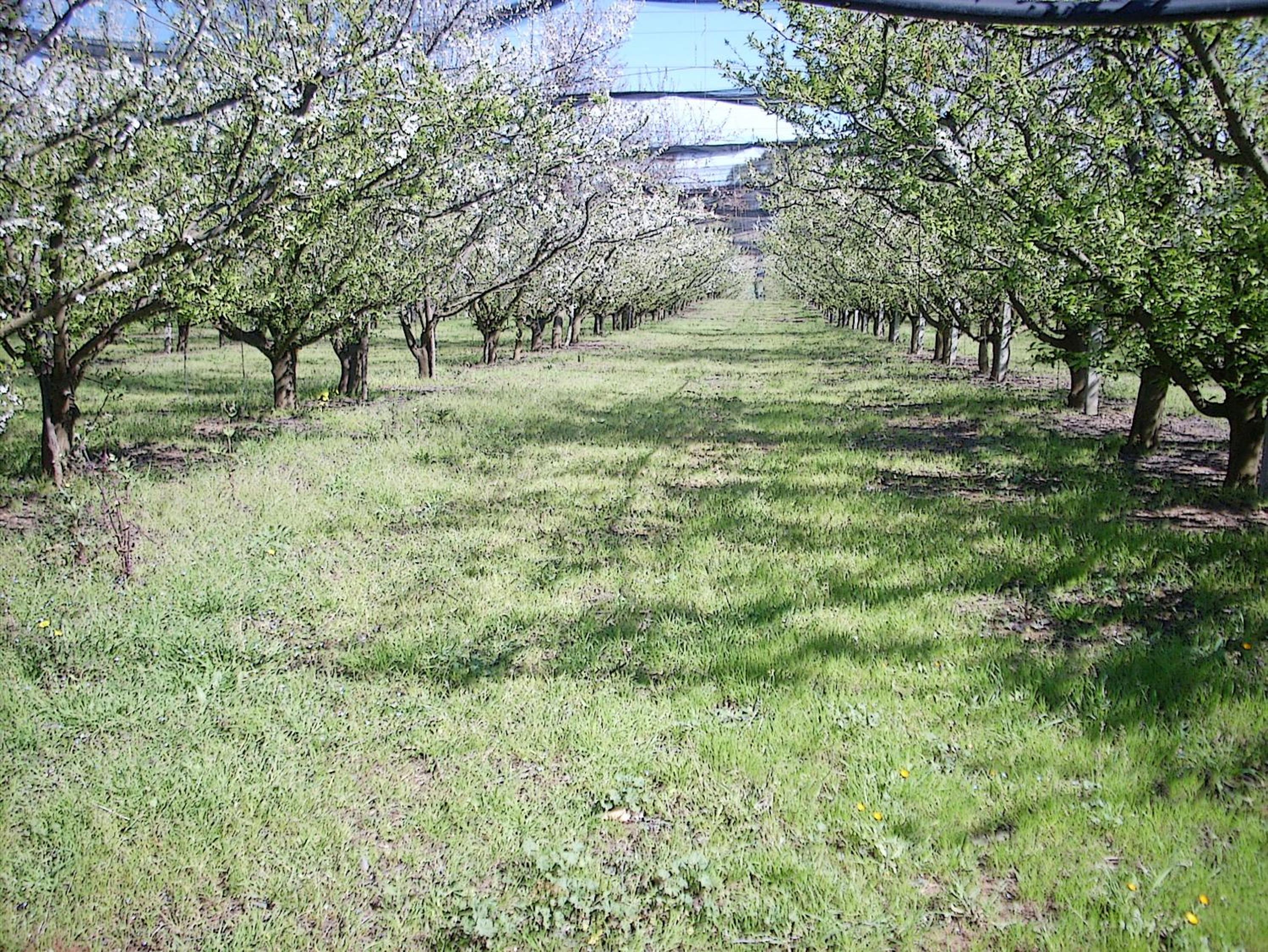 Agriturismoteo