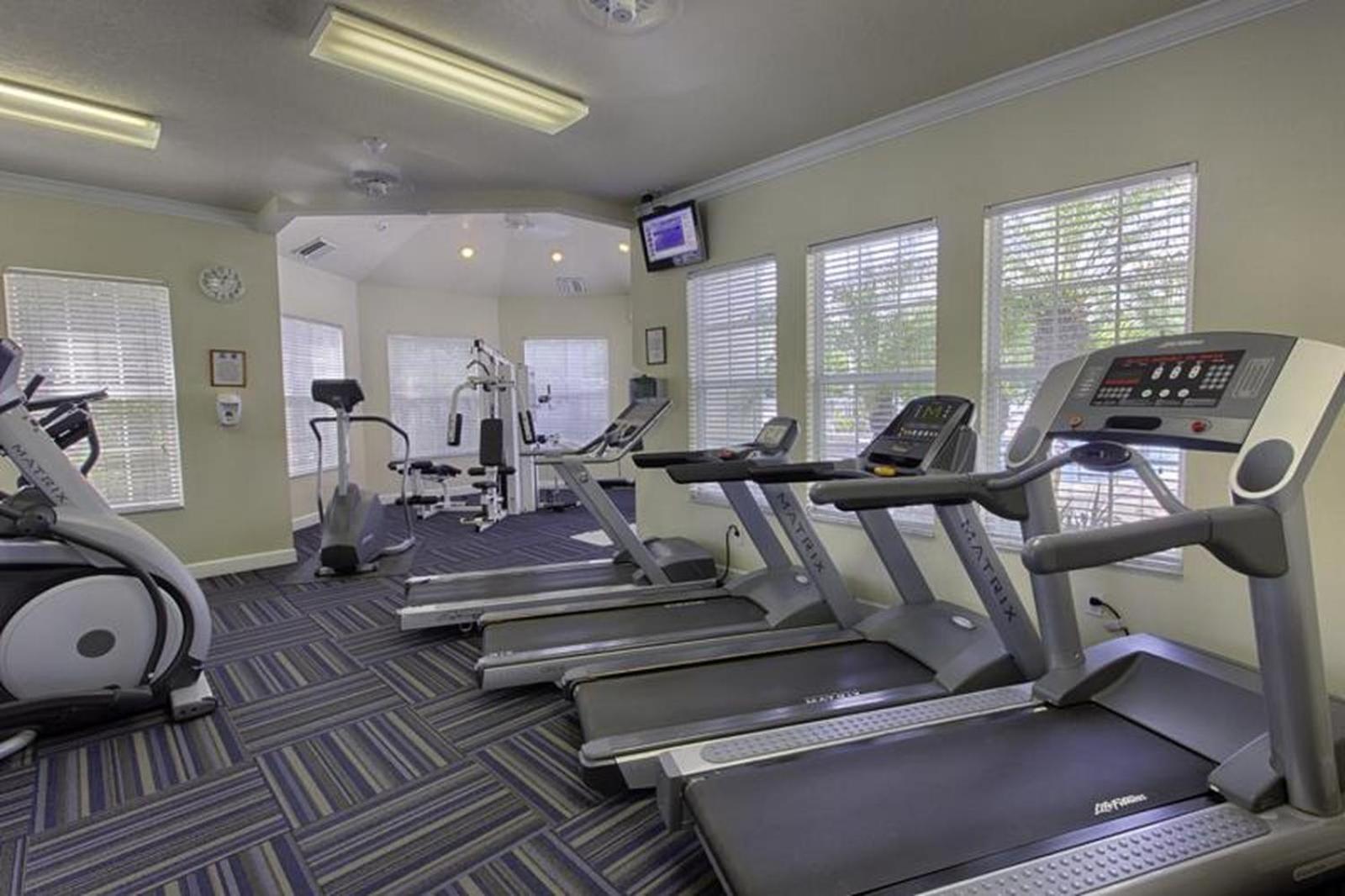 Celtic Palms: Private Pool & Near Disney Magic