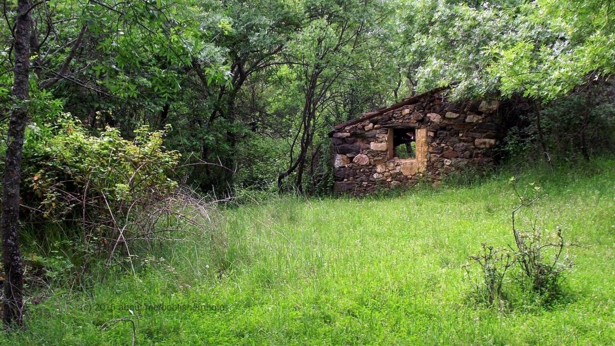 Casa Rural Miel y Romero