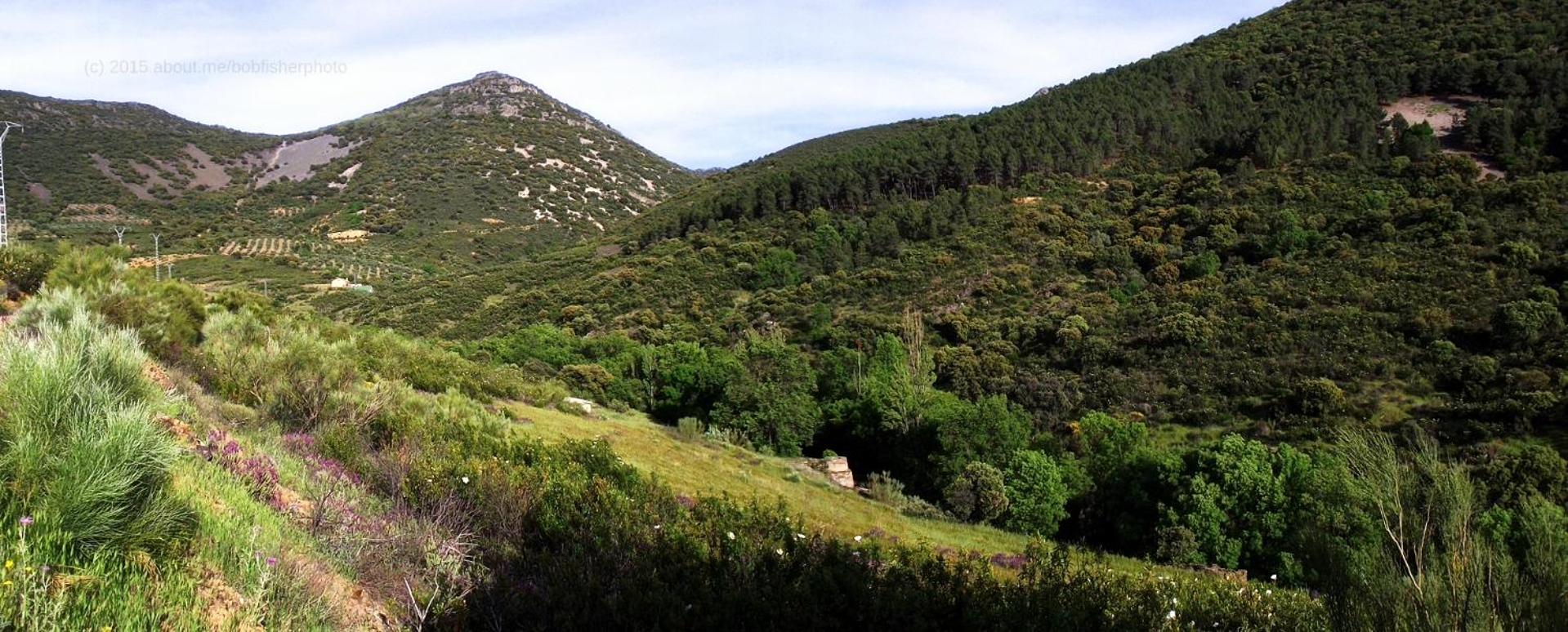 Casa Rural Miel y Romero