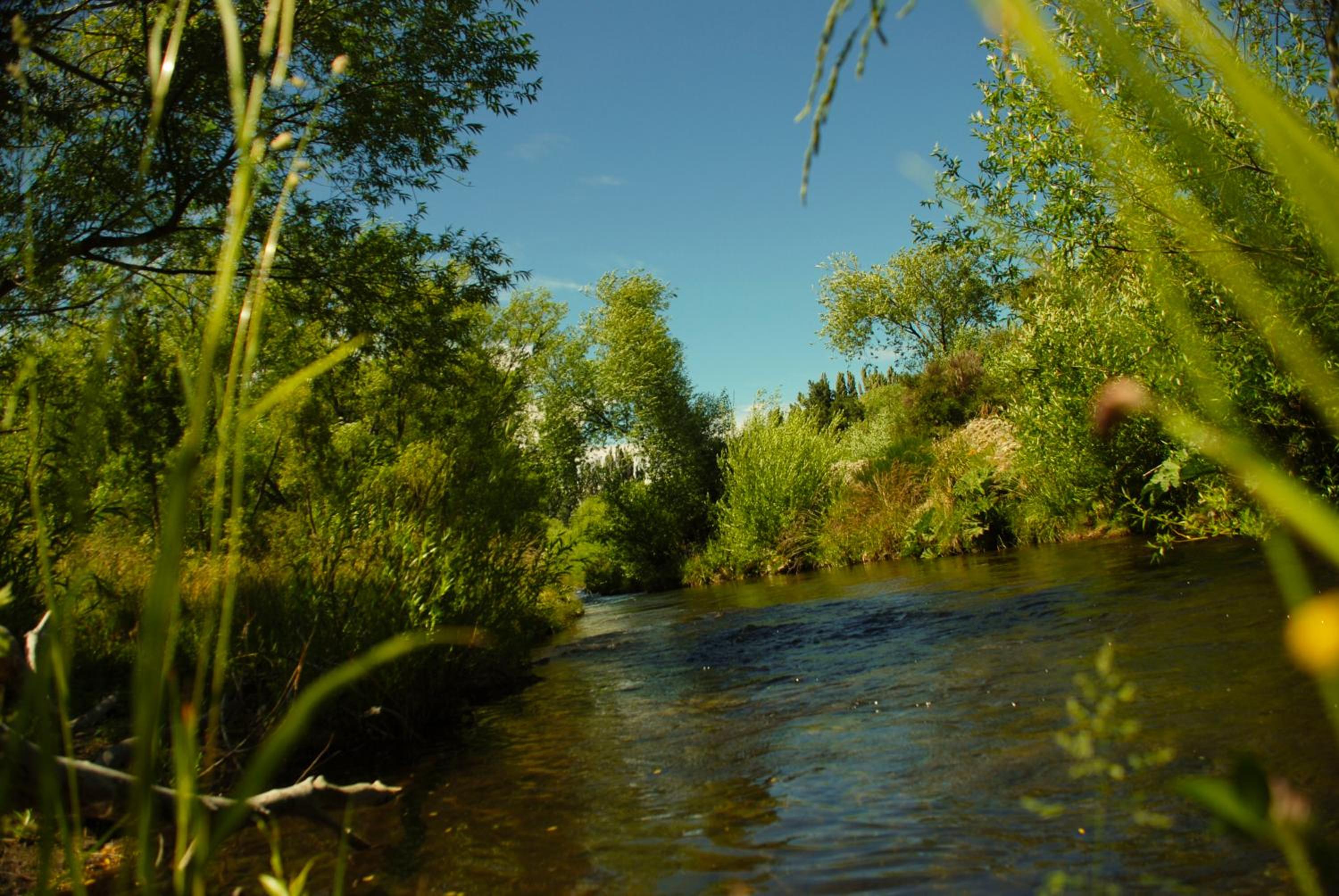 Valle de Epuyen
