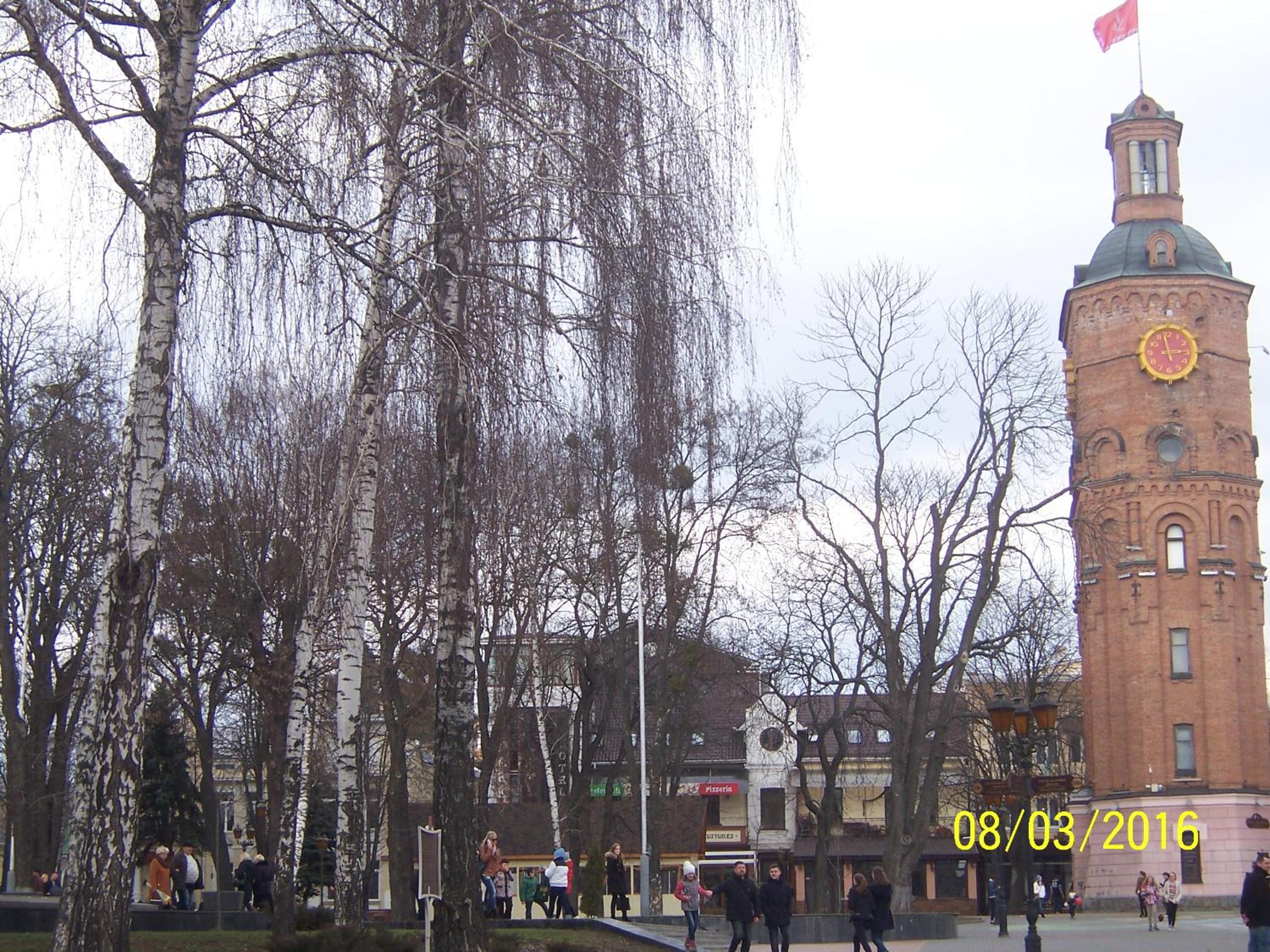 Photo 73