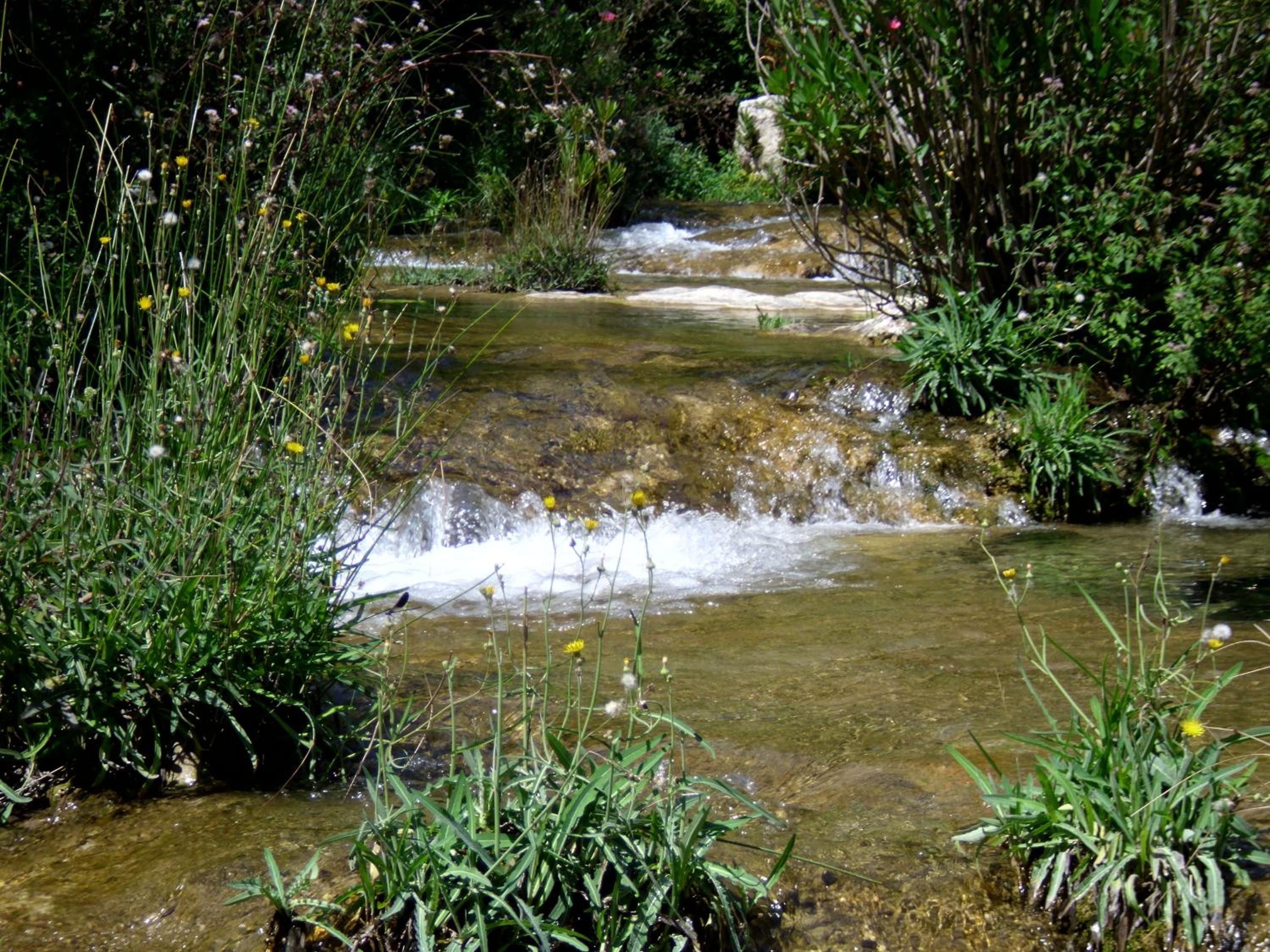 Photo 28