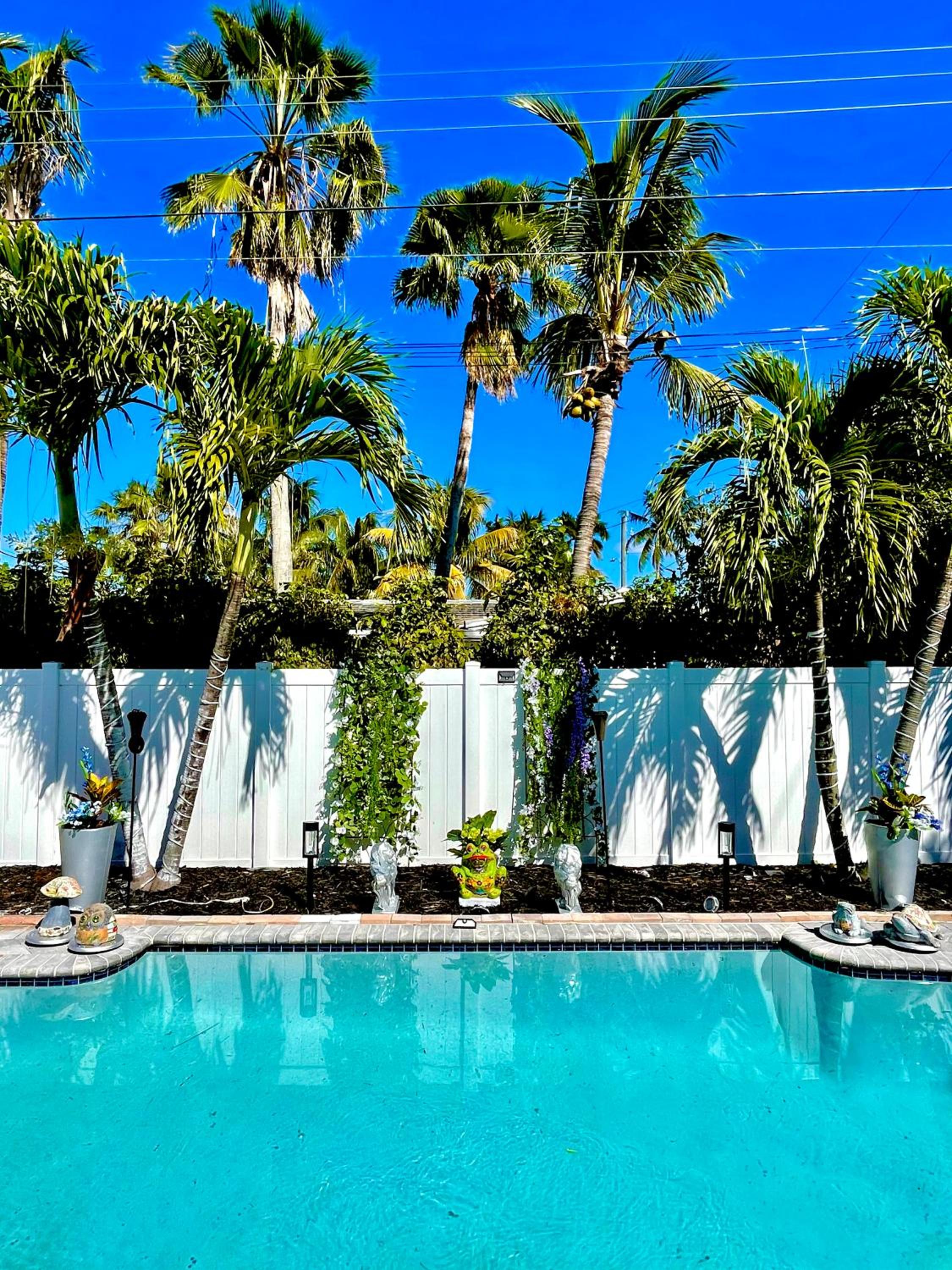 Tropical Oasis Private Guest Suite min to Wilton Drive-Ft Lauderdale Beaches