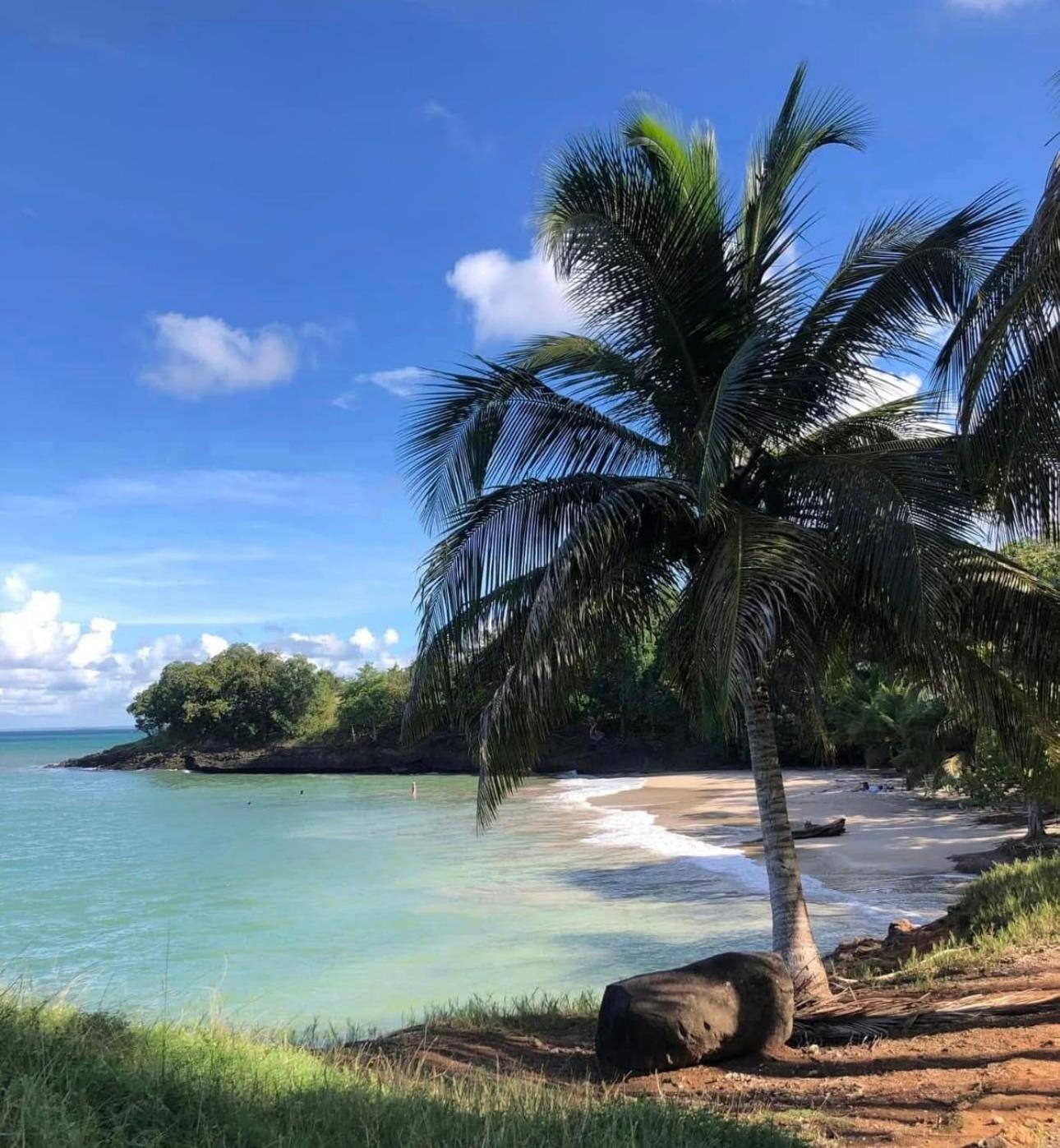 Le ptit paradis créole