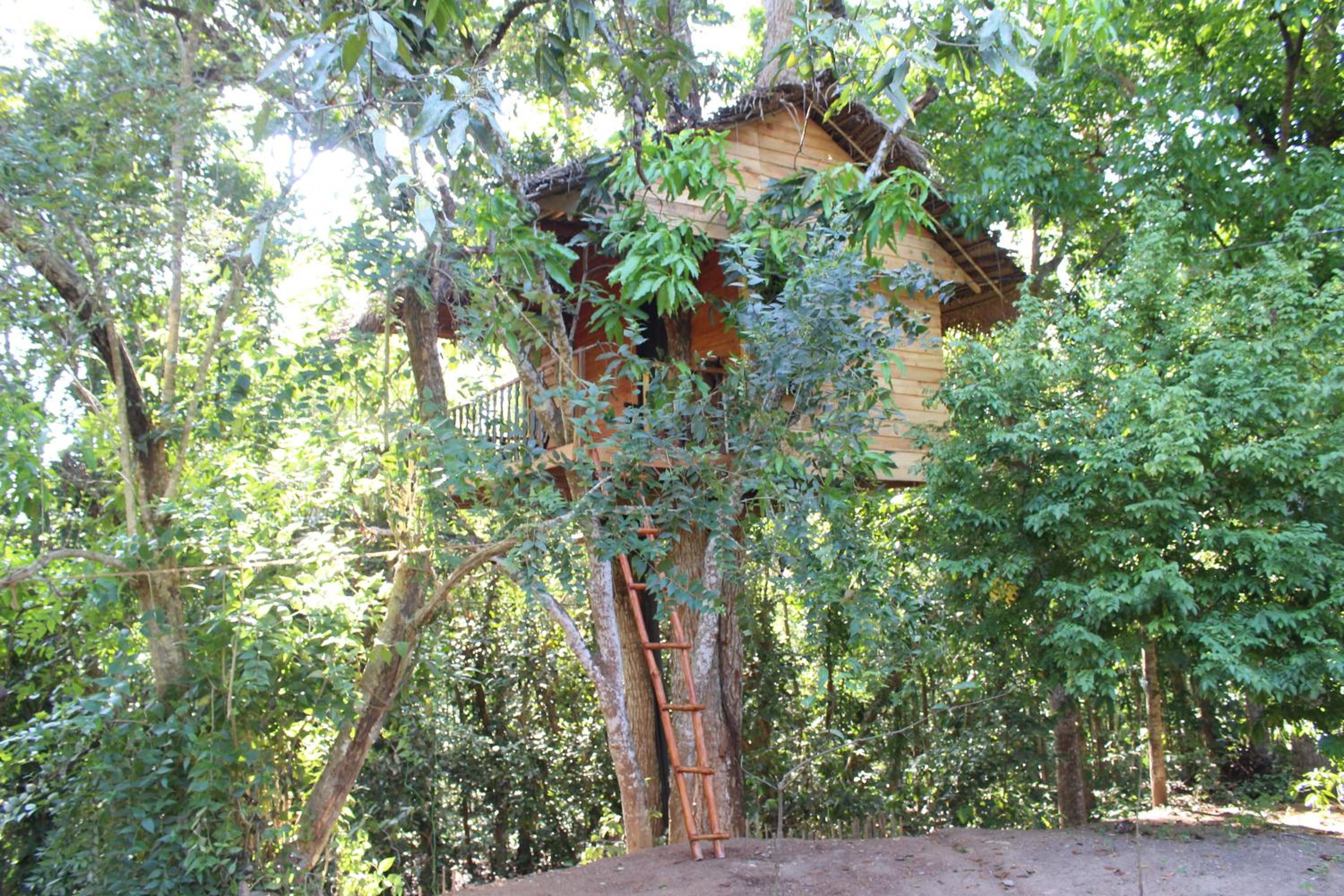 Hotel Tree House-Midigama - Image 1