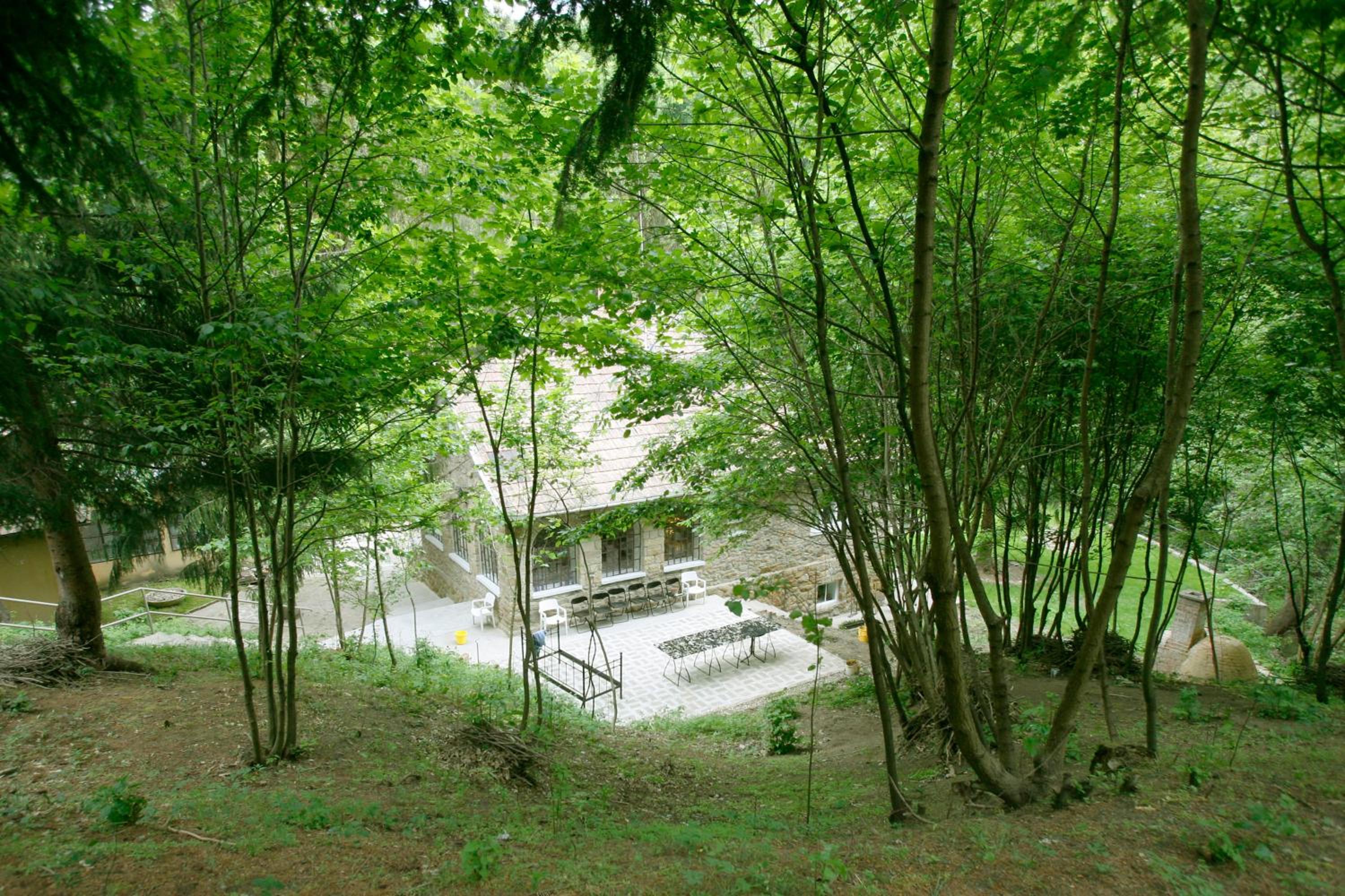 Photo 6