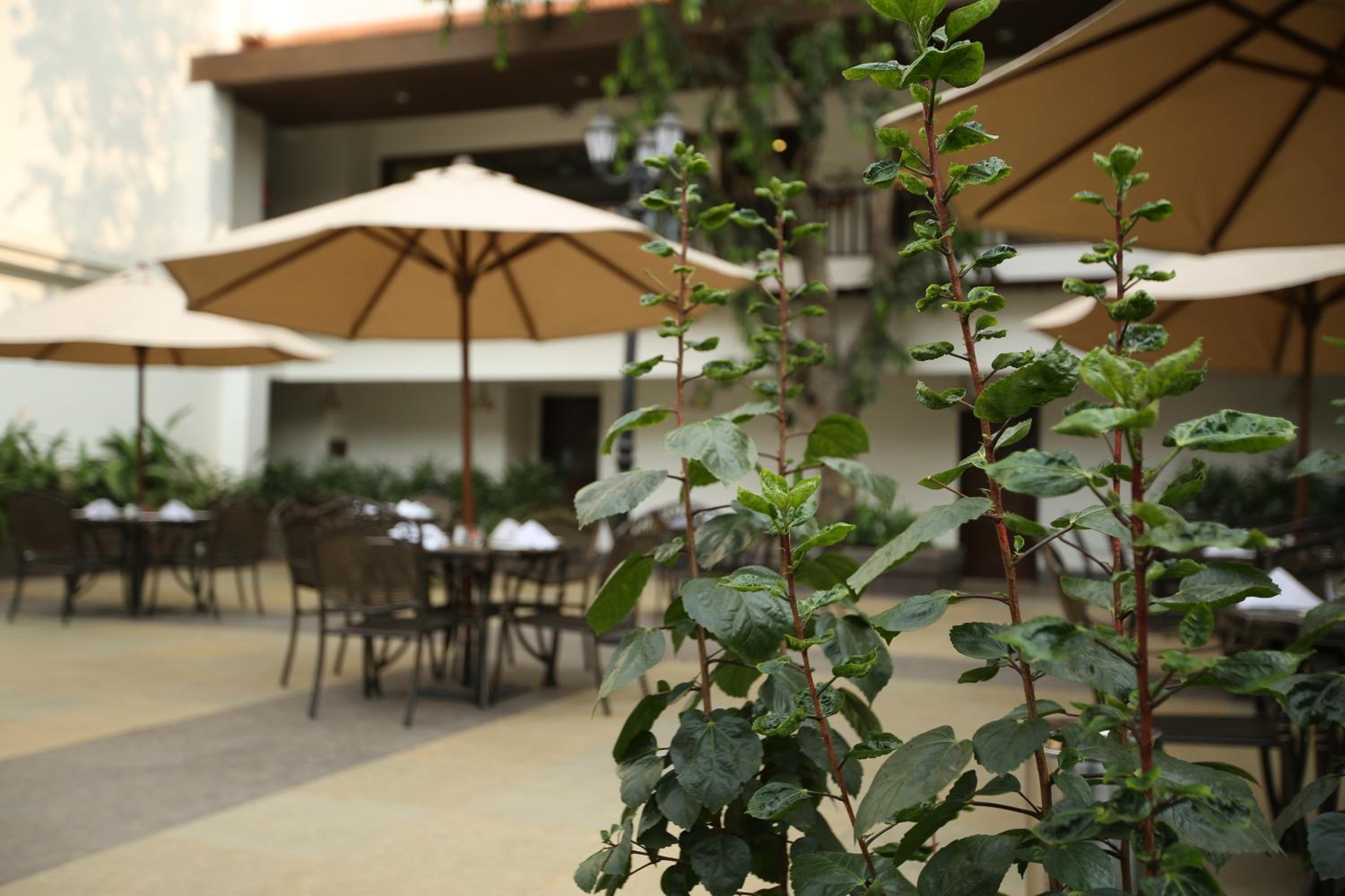 Lonavala Vacations - Rhythm Lonavala - An All Suite Resort - Property Image 7