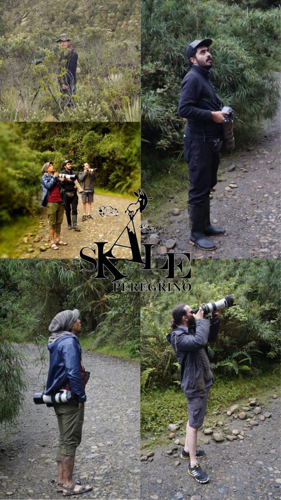 Skale Peregrino, photo 74