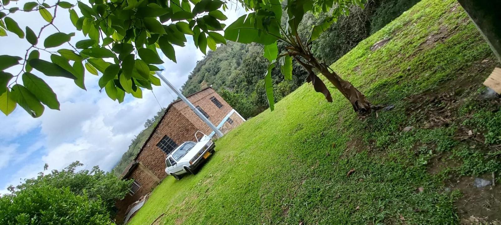 Skale Peregrino, photo 58