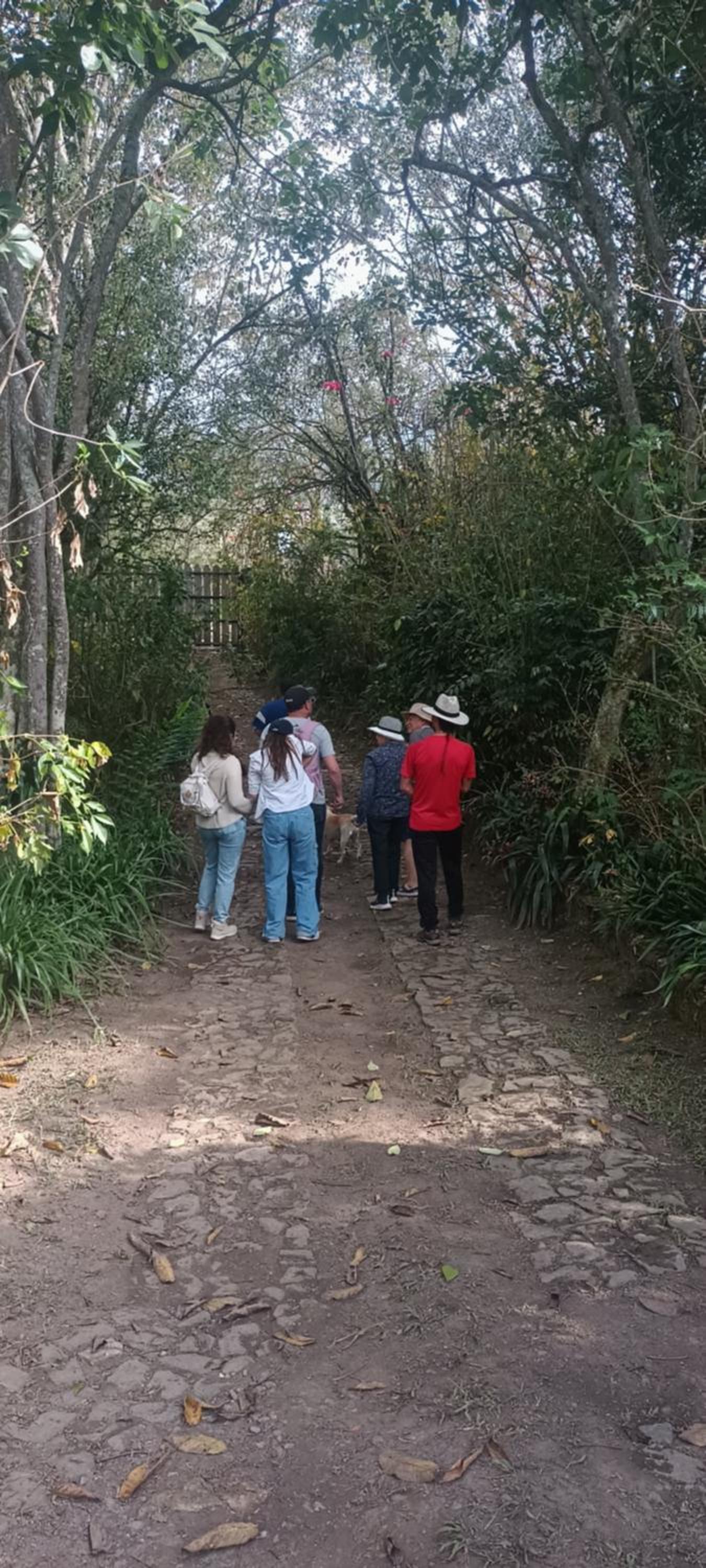 Skale Peregrino, photo 41