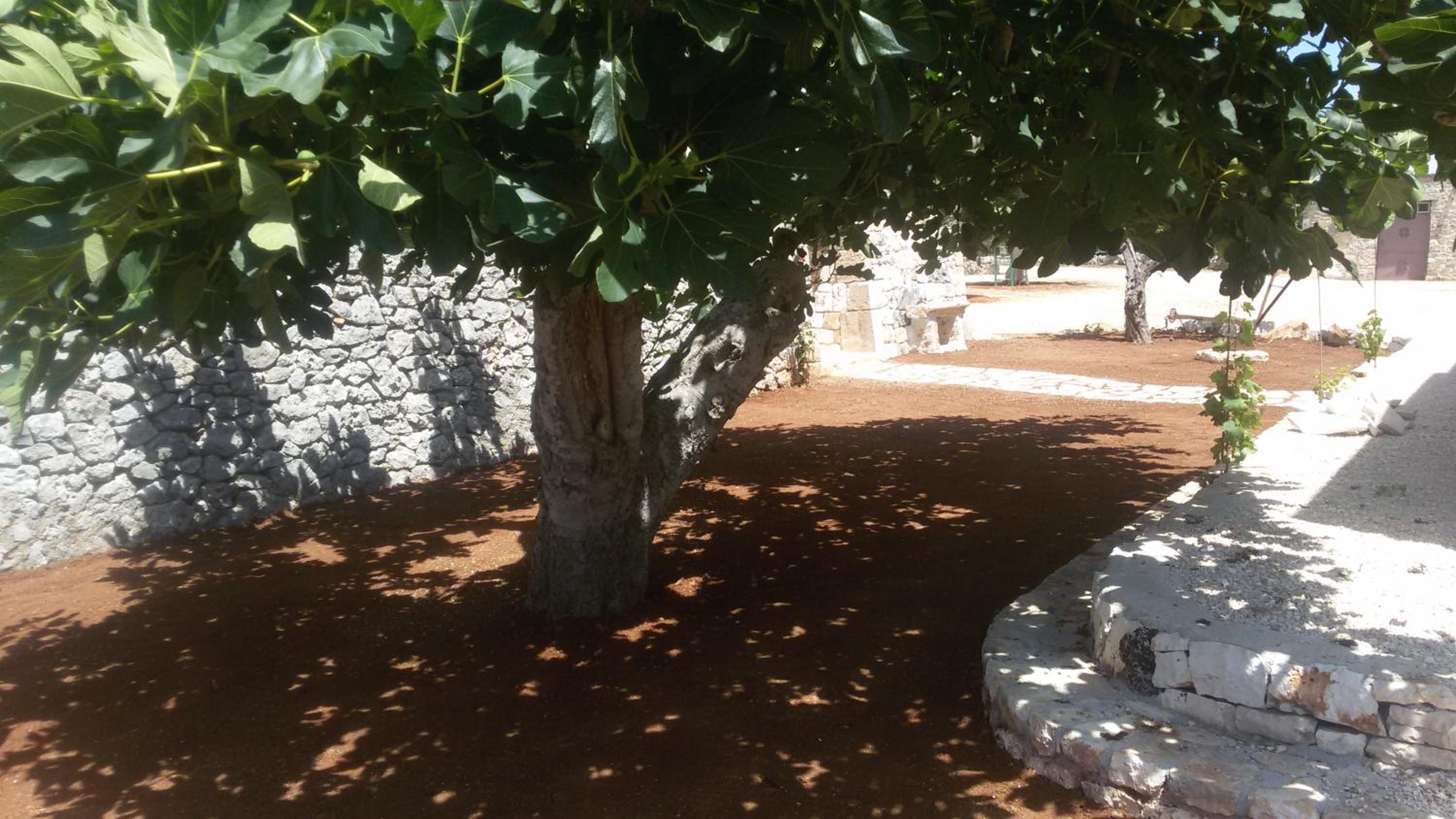 Masseria Tolla