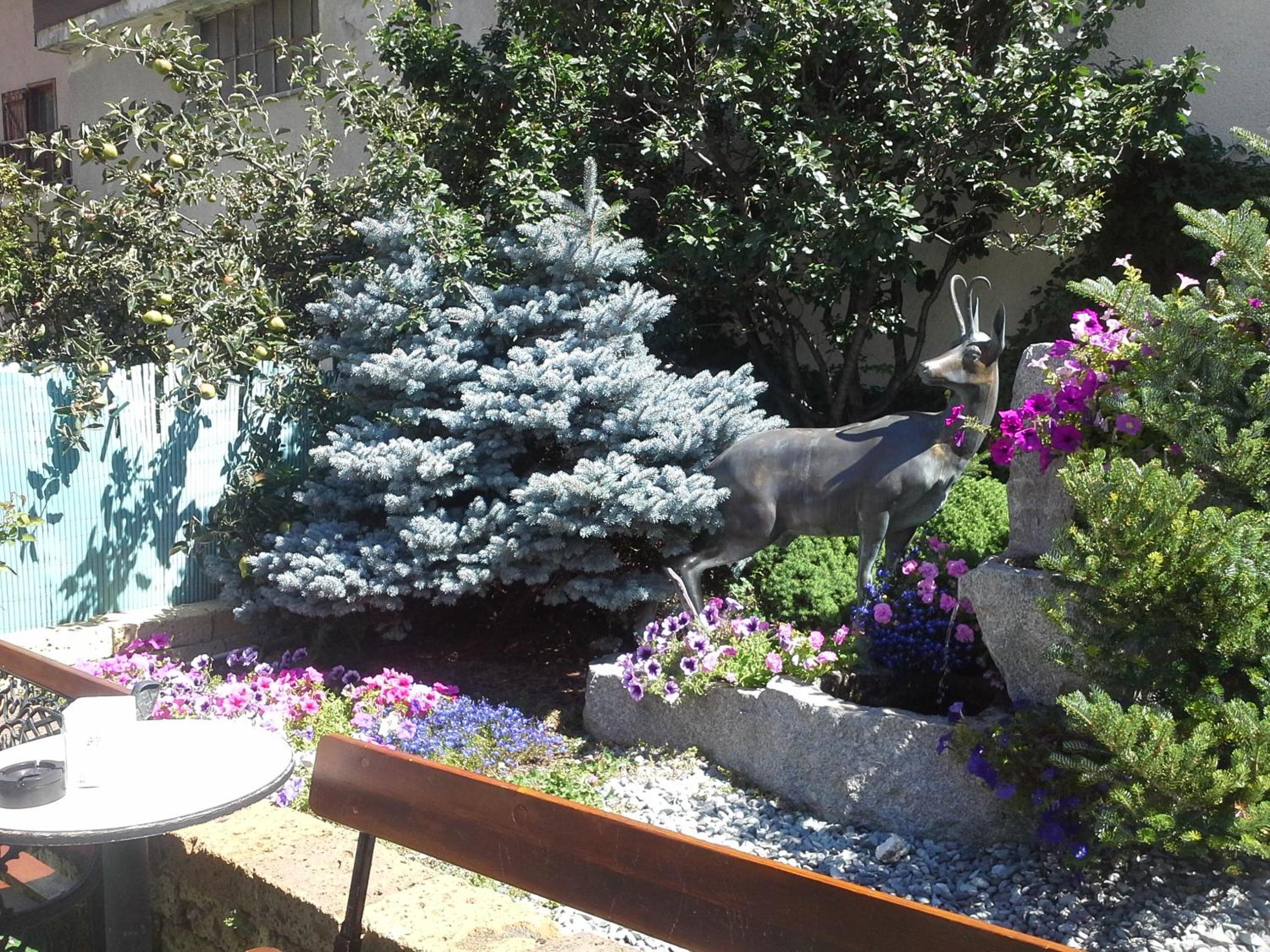 Photo 35