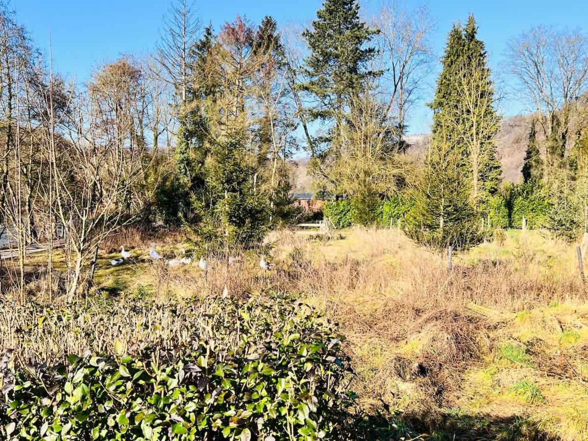 House close to nature