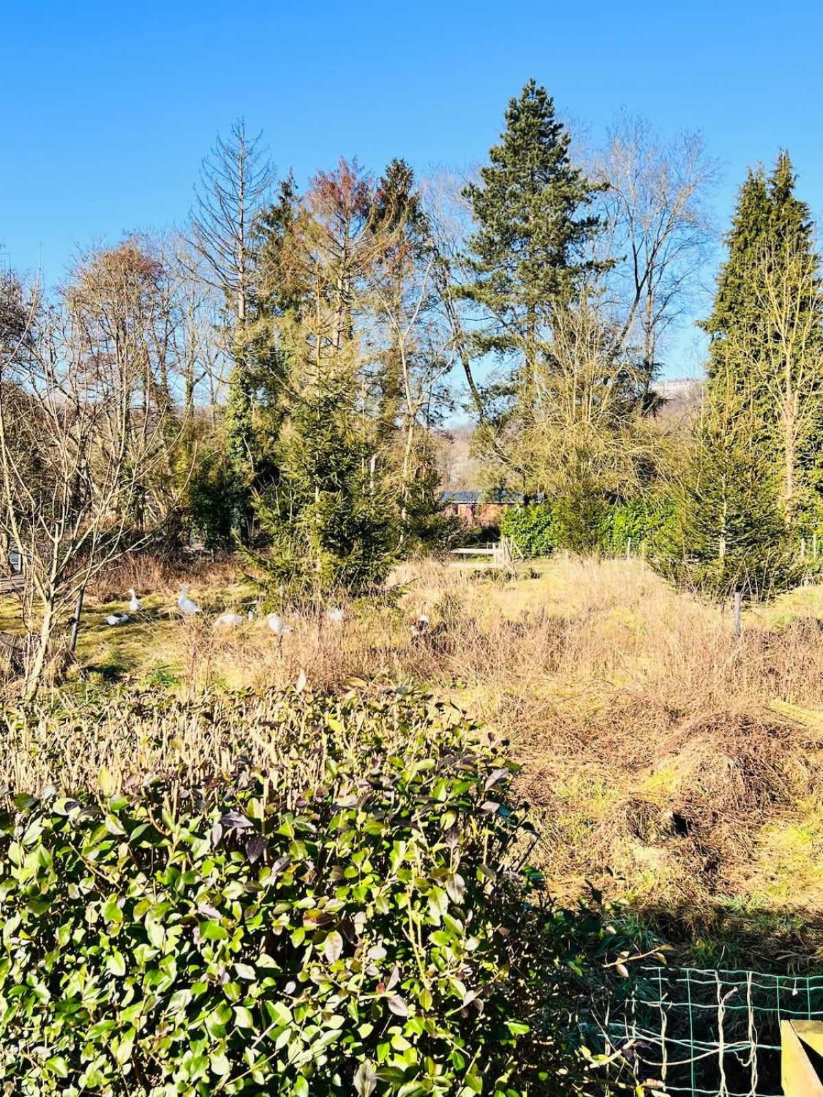 House close to nature