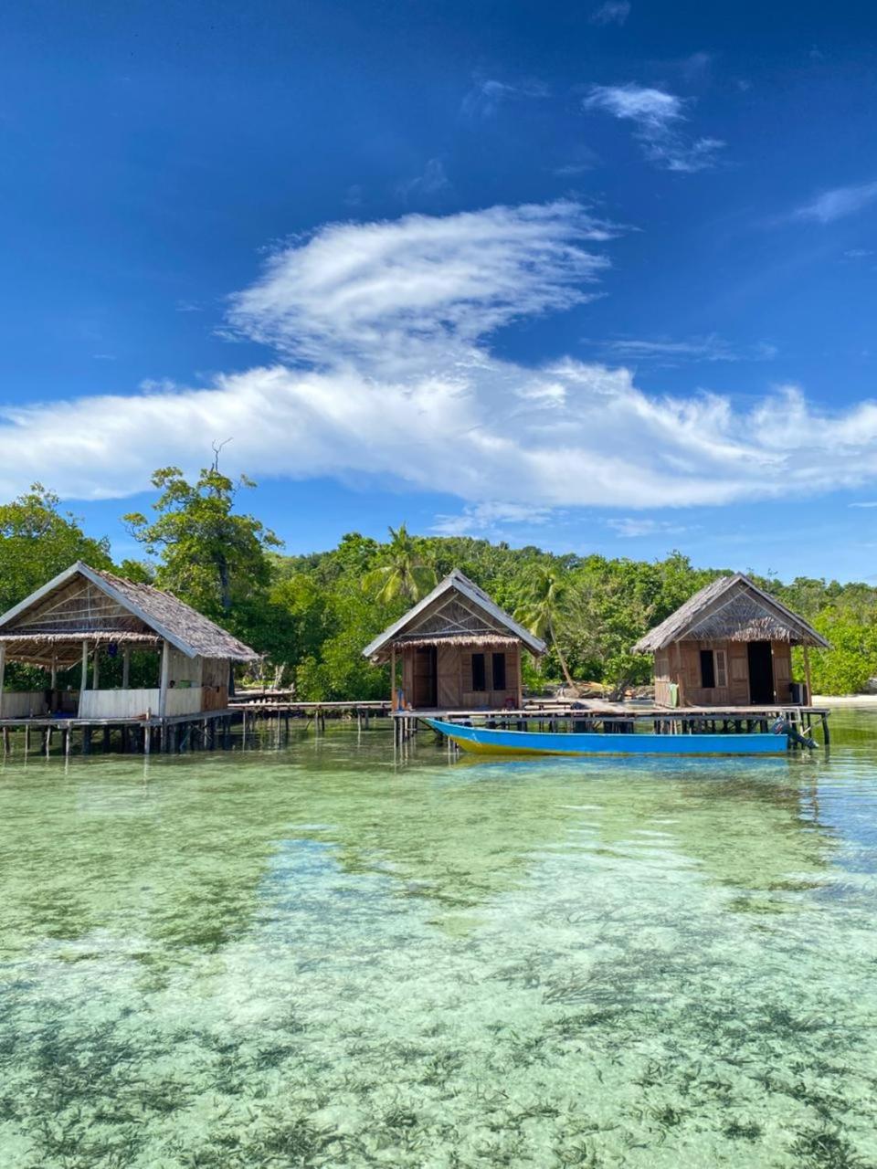 Senjahomestayrajaampat