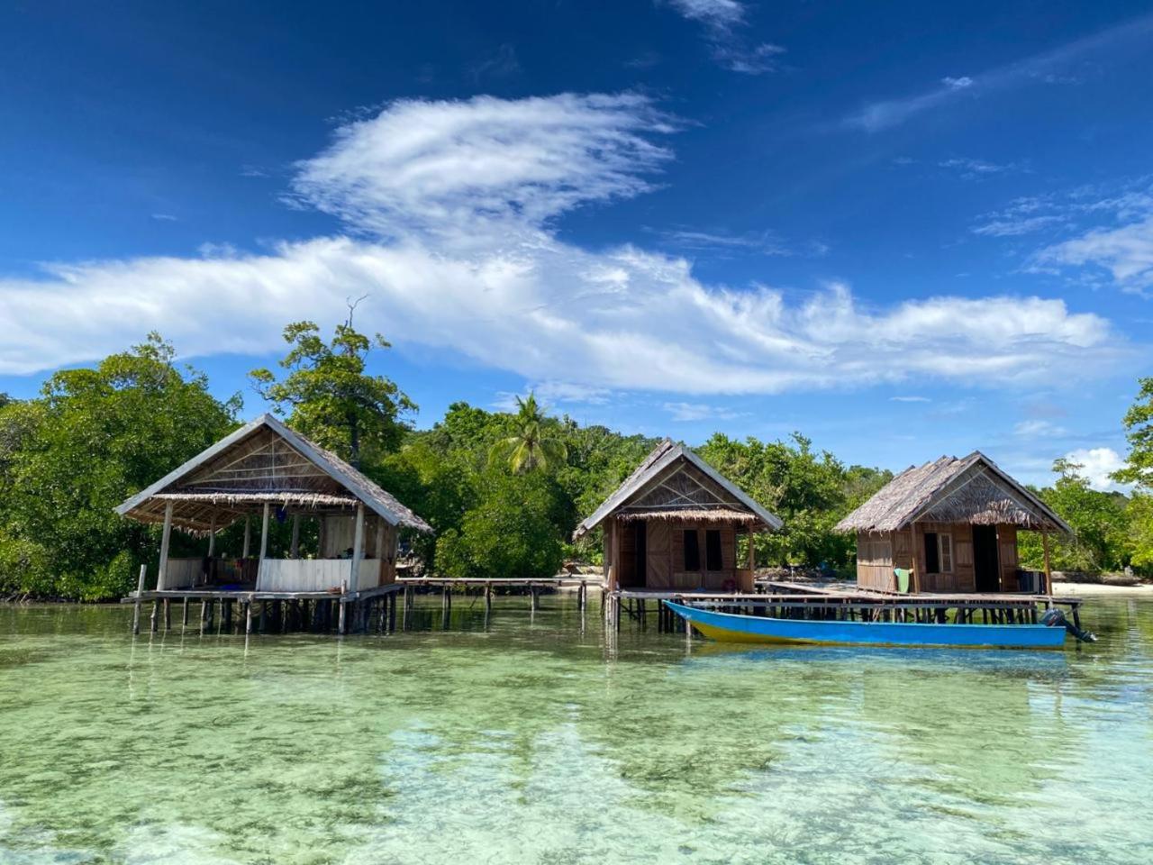 Senjahomestayrajaampat