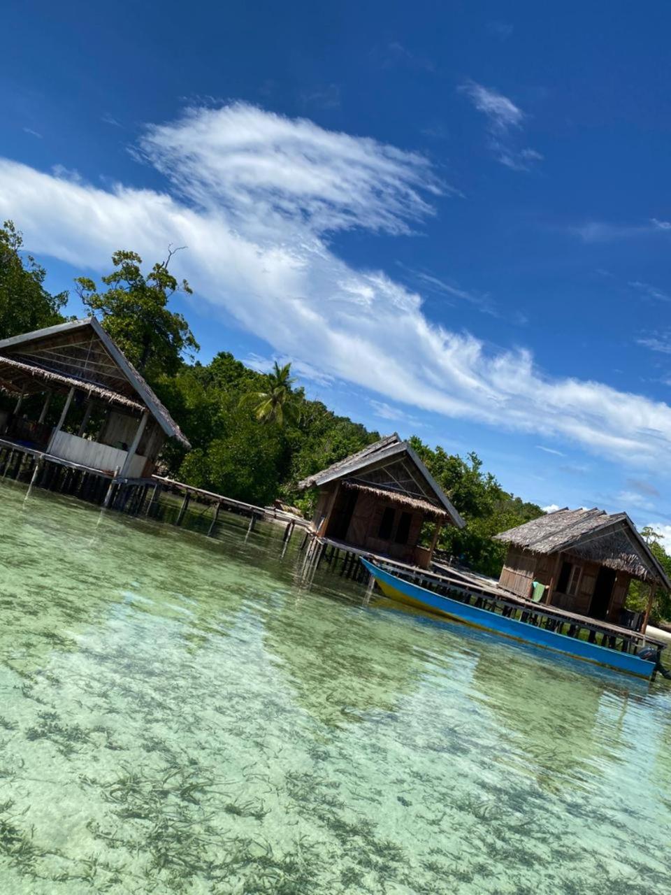 Senjahomestayrajaampat