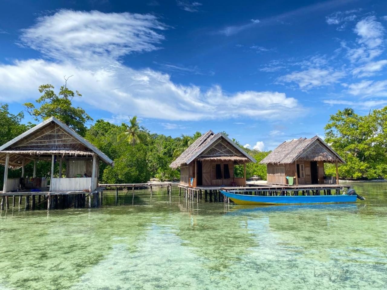 Senjahomestayrajaampat