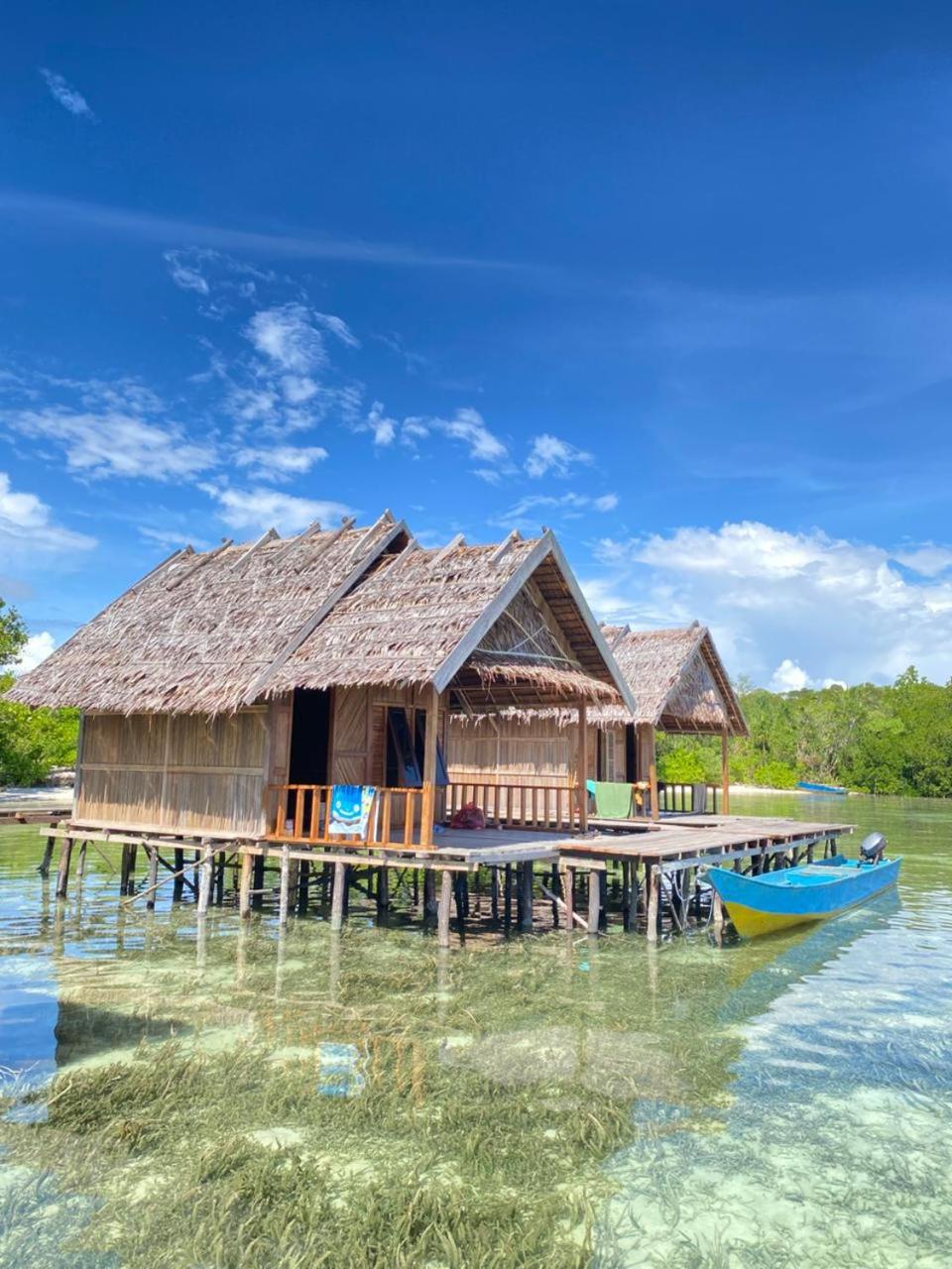Senjahomestayrajaampat