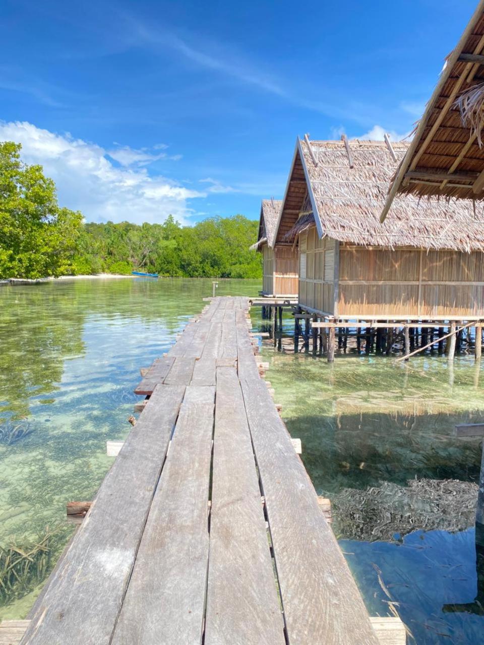 Senjahomestayrajaampat